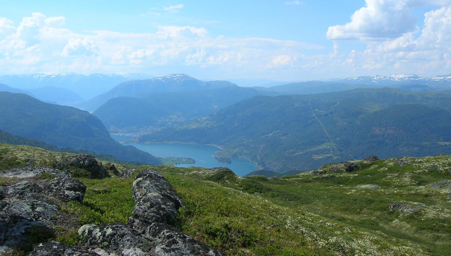 Solvorn-nipa