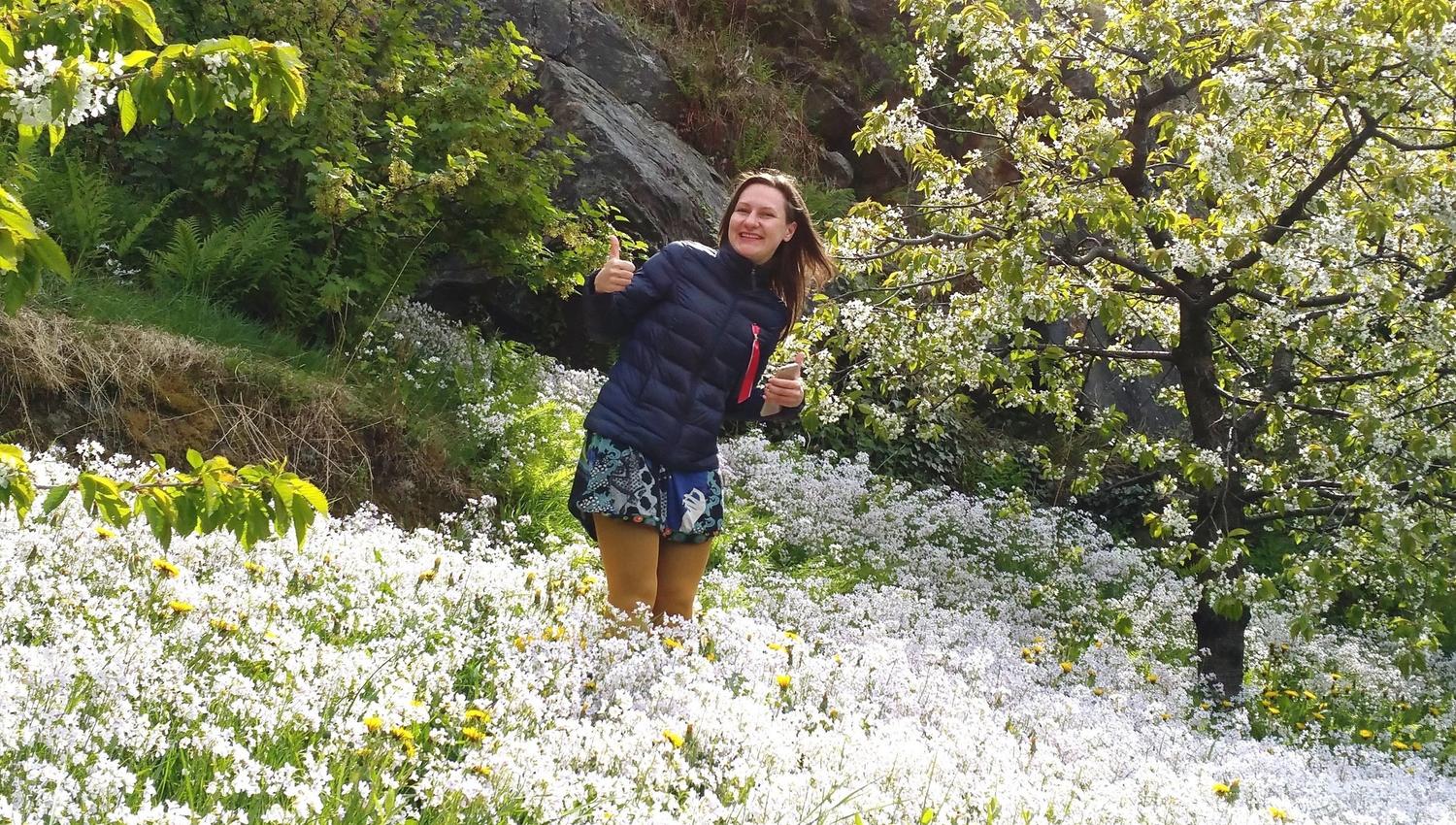 Spring atmosphere at Stana Farm – guest enjoying the blooming orchard with views of the Hardangerfjord.