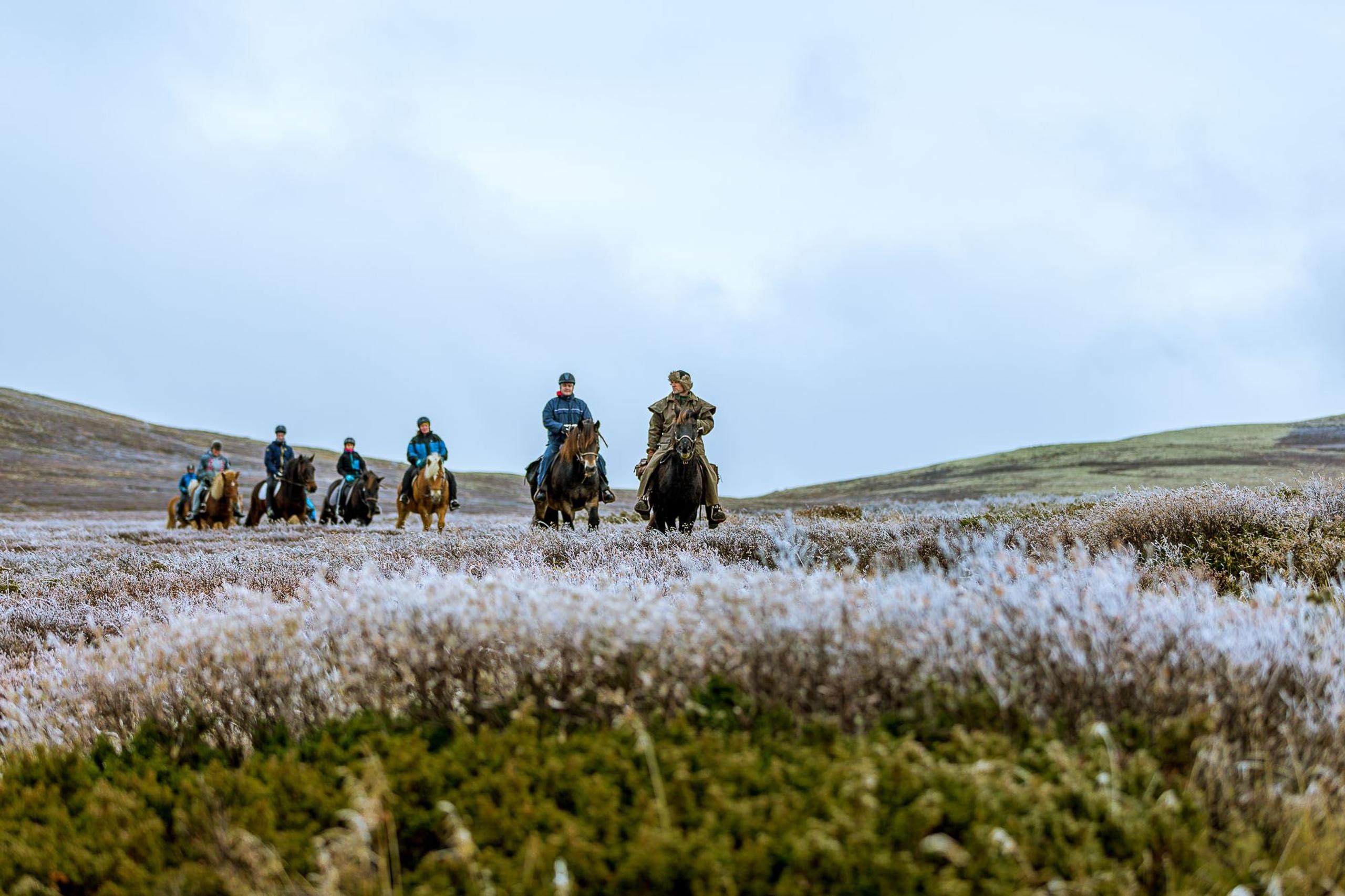 Øien Øvre Horse activities 