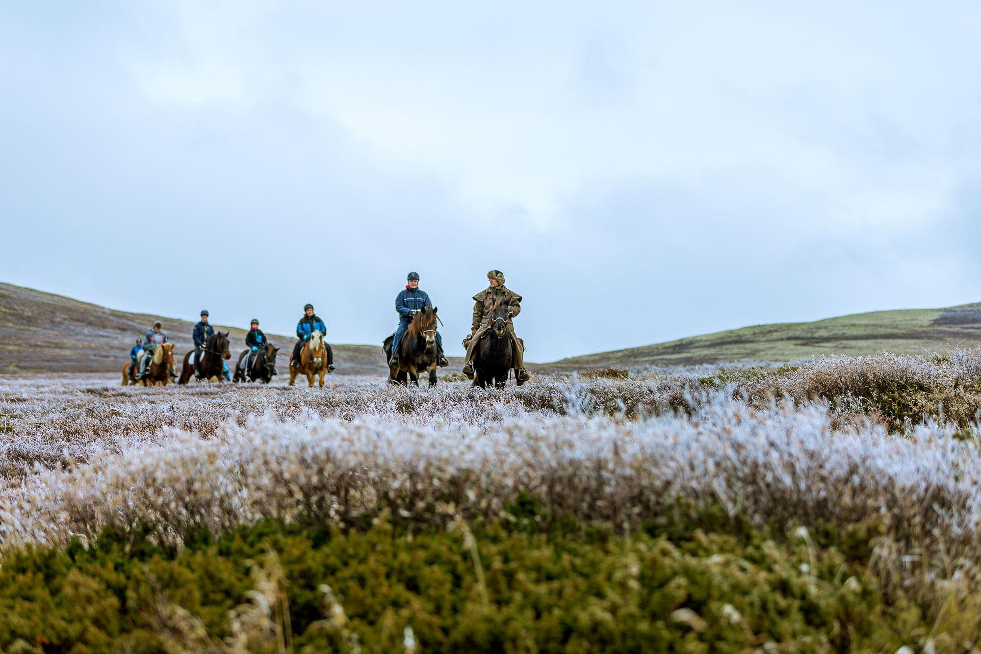 Øien Øvre Horse activities