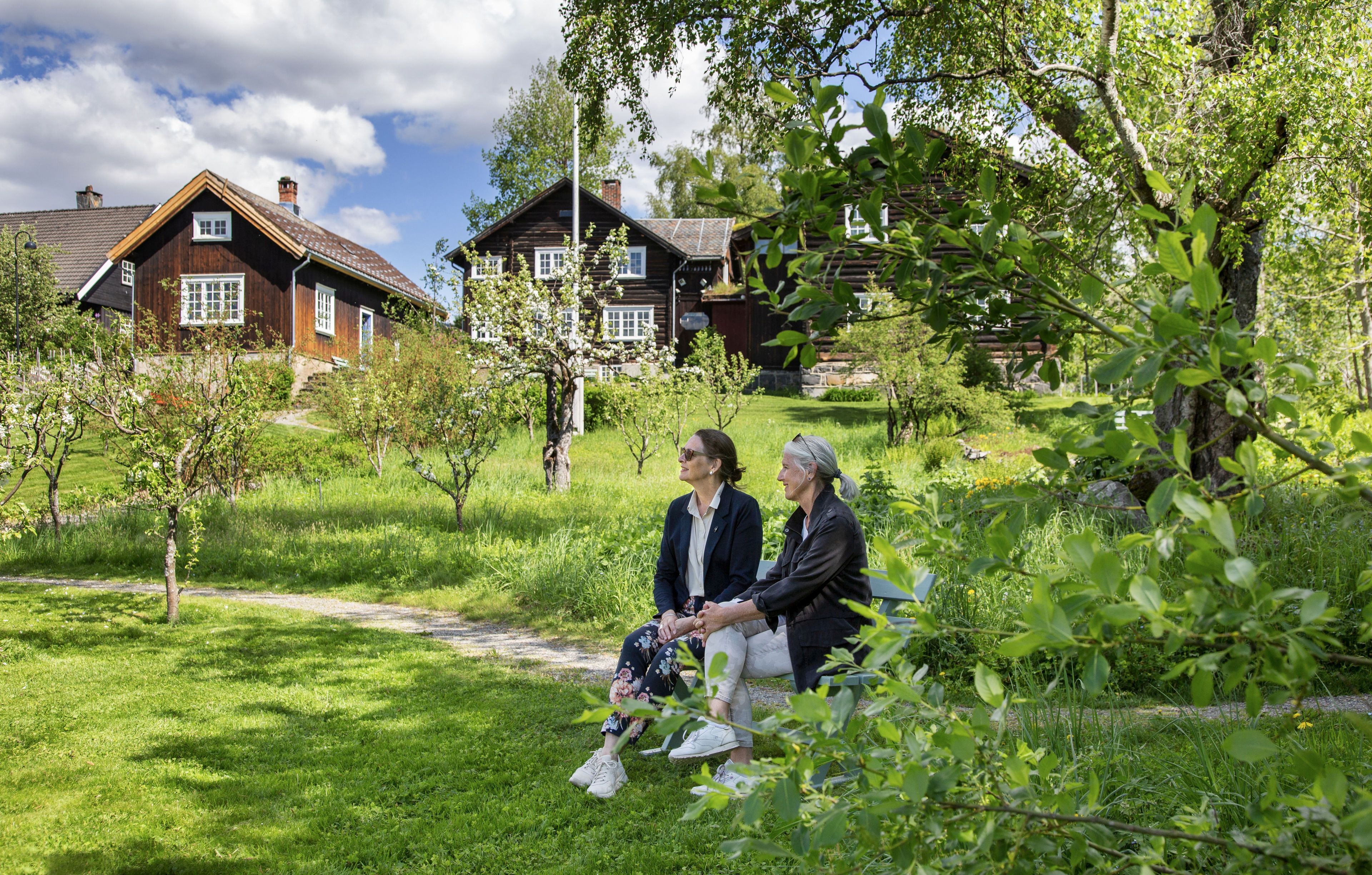 Hagen på Bjerkebæk