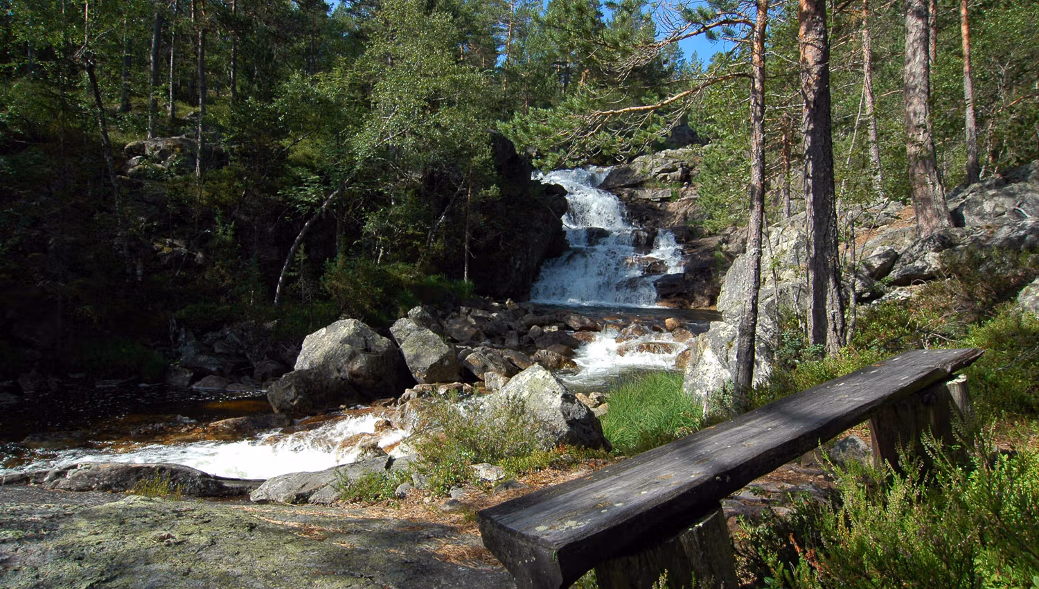 Rysstad Turpark