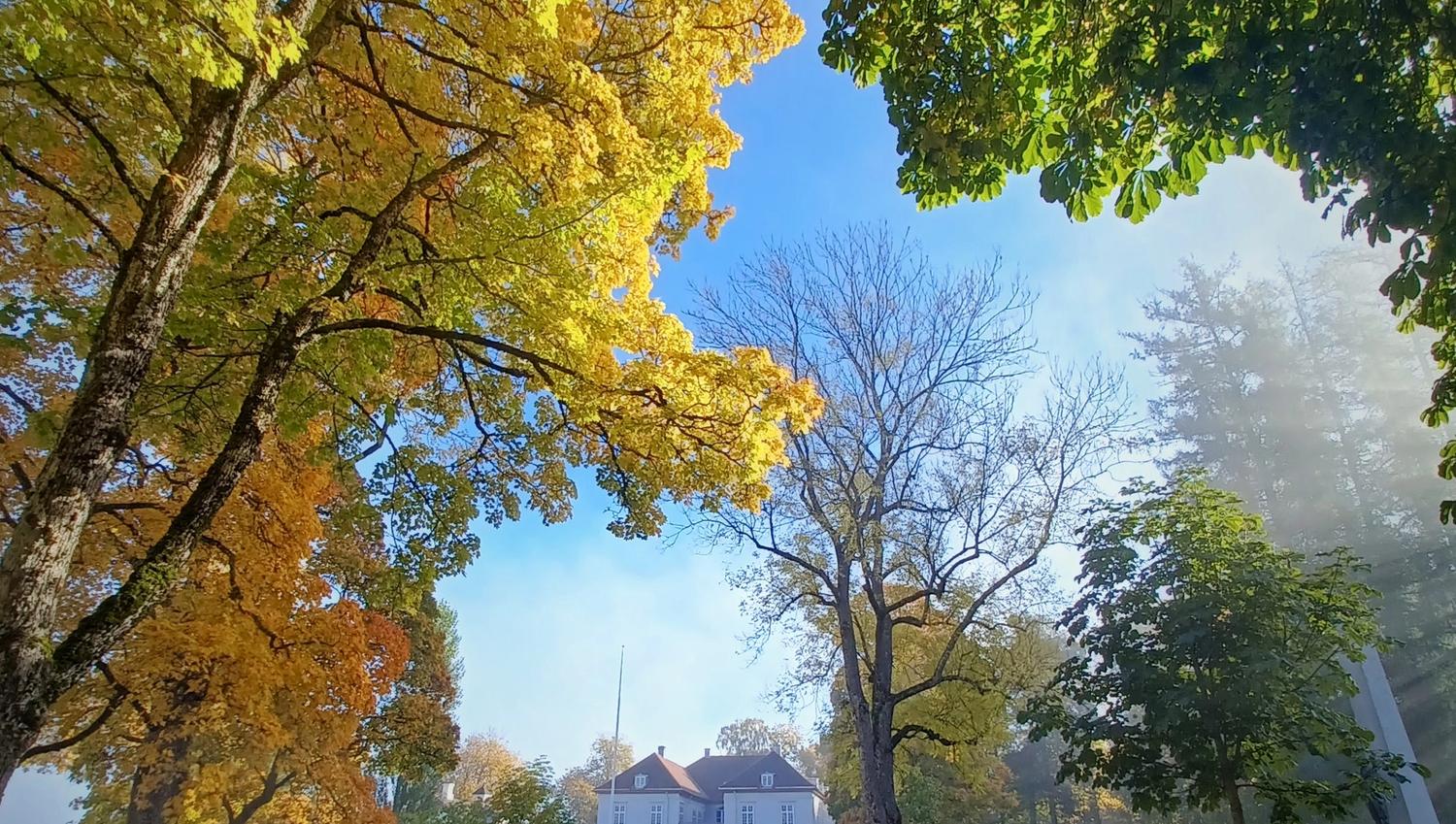 autum colours with Eidsvoll 1814 in the background