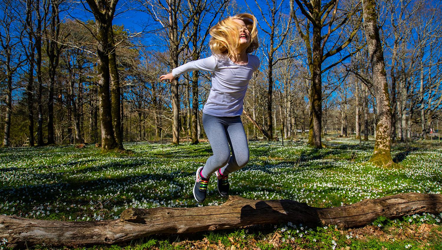 Hvitveisblomstring Jomfruland