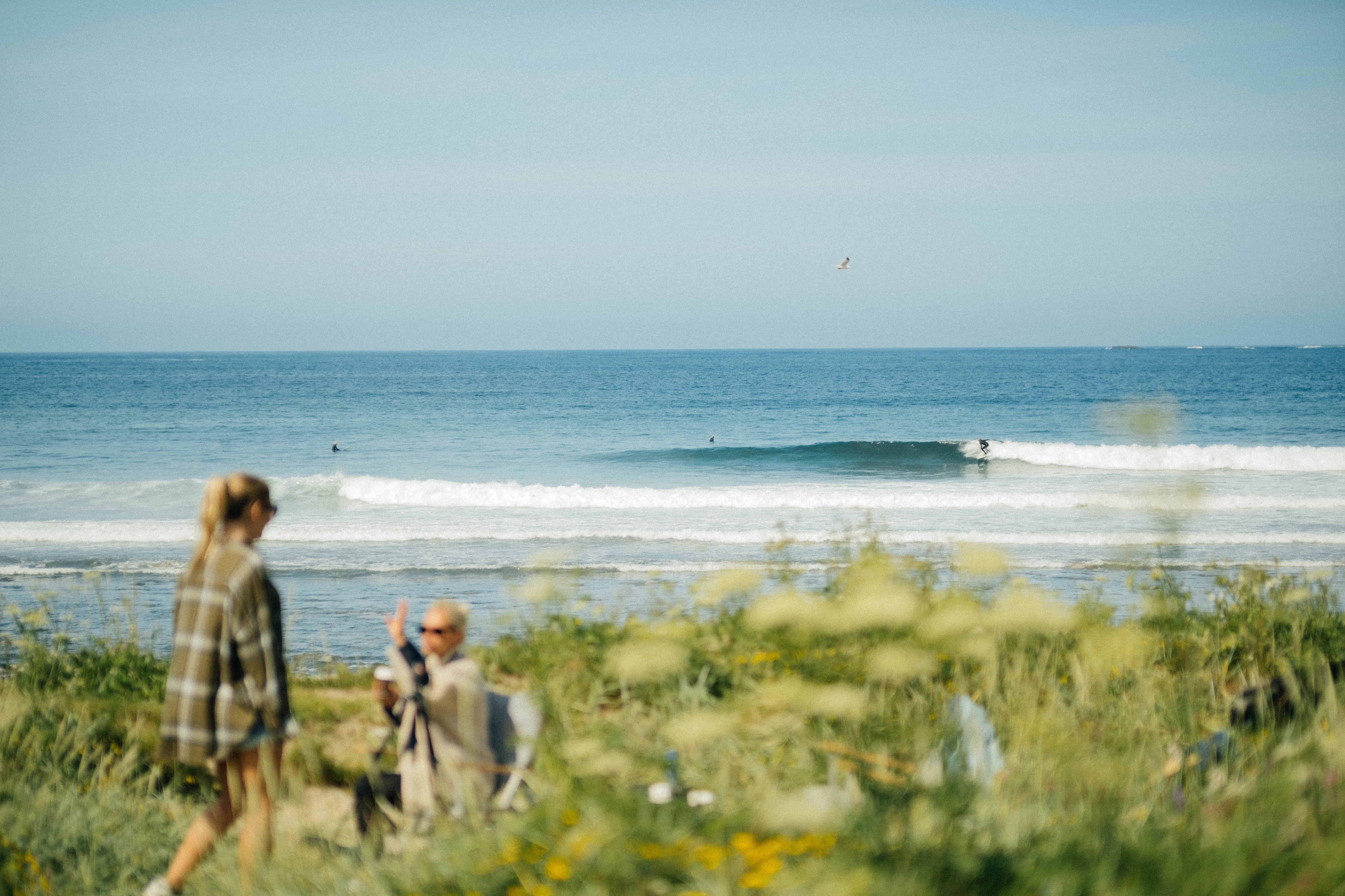 Two blurred people in a grassy coastal meadow watch ocean waves, with surfers visible offshore under a clear sky.