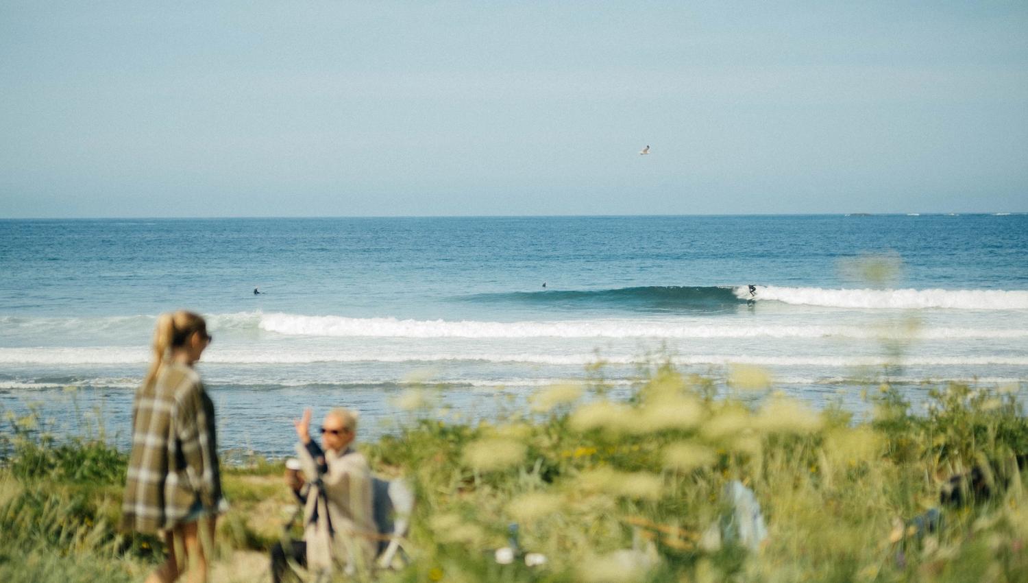Two blurred people in a grassy coastal meadow watch ocean waves, with surfers visible offshore under a clear sky.