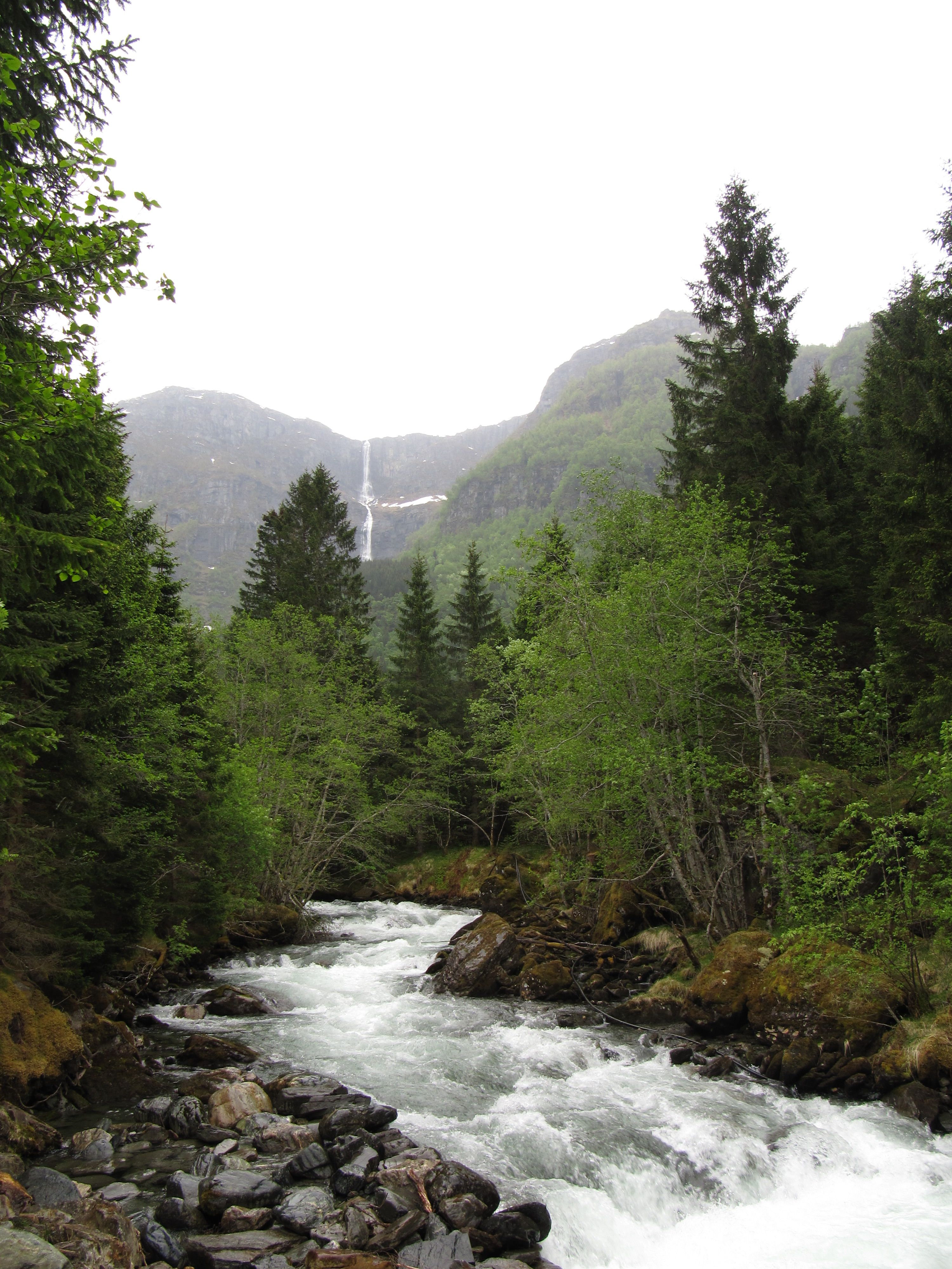 Rushing river in Elvedalen, Lofthus, surrounded by lush forest and a distant waterfall.