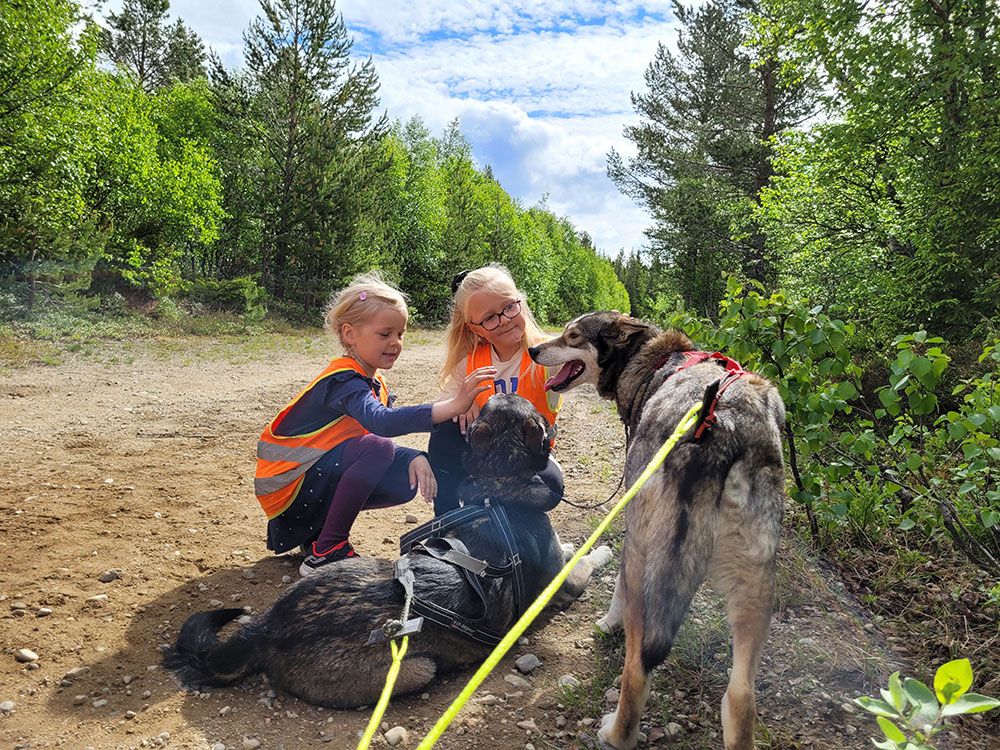 2 girls pet the dogs from Telemark Husky Tours 