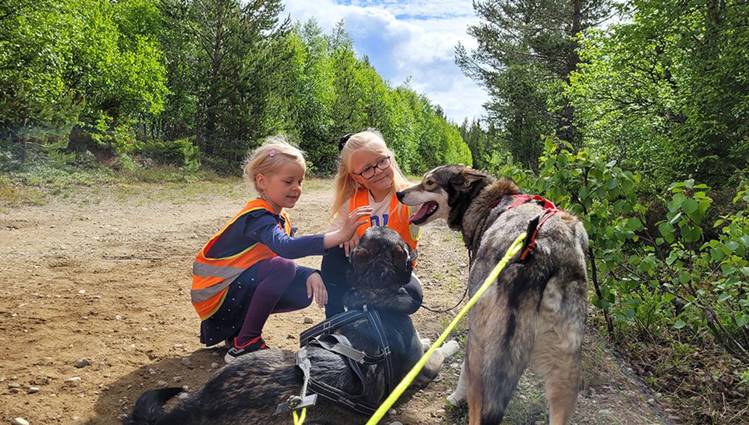 2 girls pet the dogs from Telemark Husky Tours