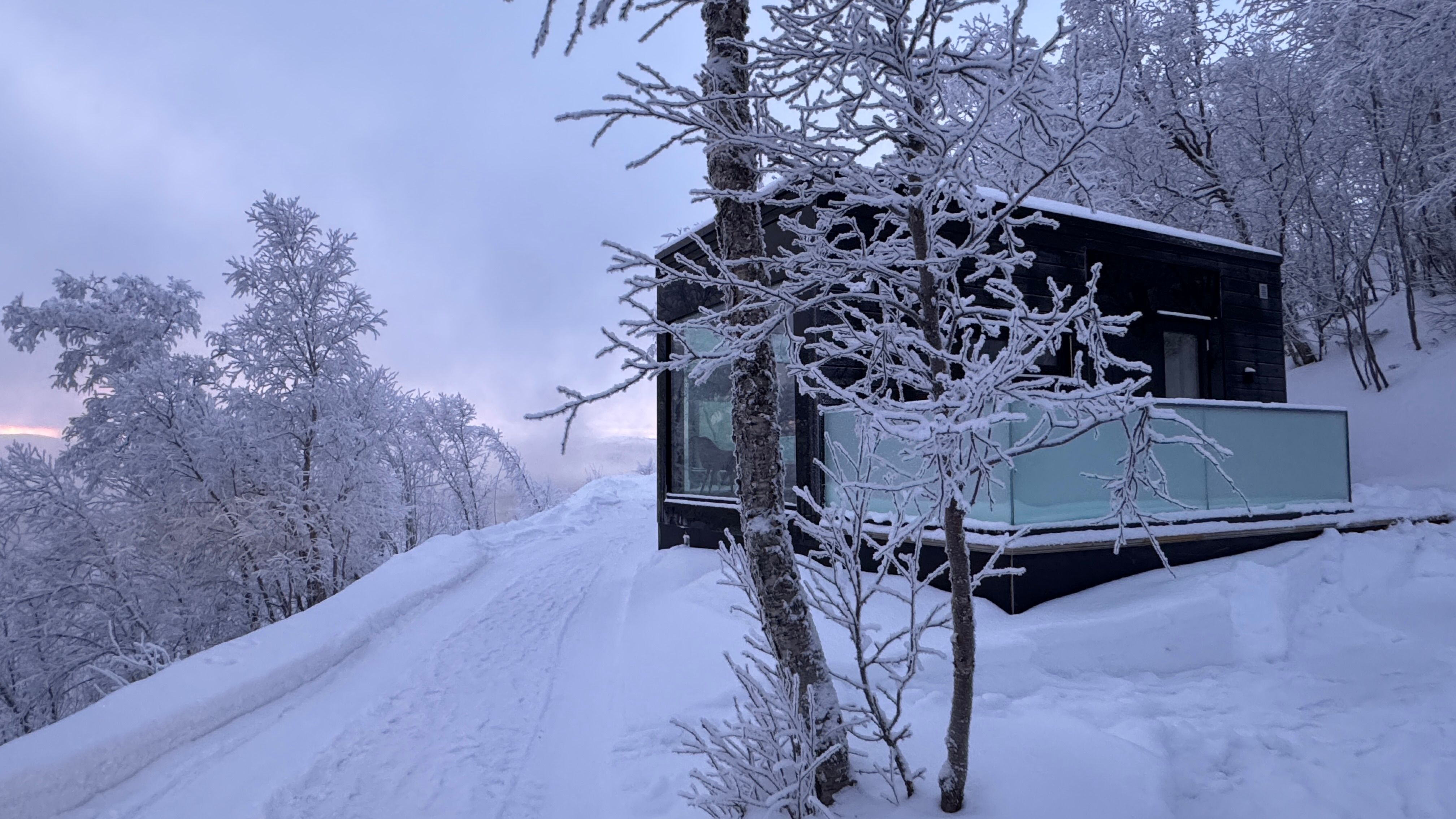 Moderne zwarte chalet omgeven door sneeuw en ijzige bomen.