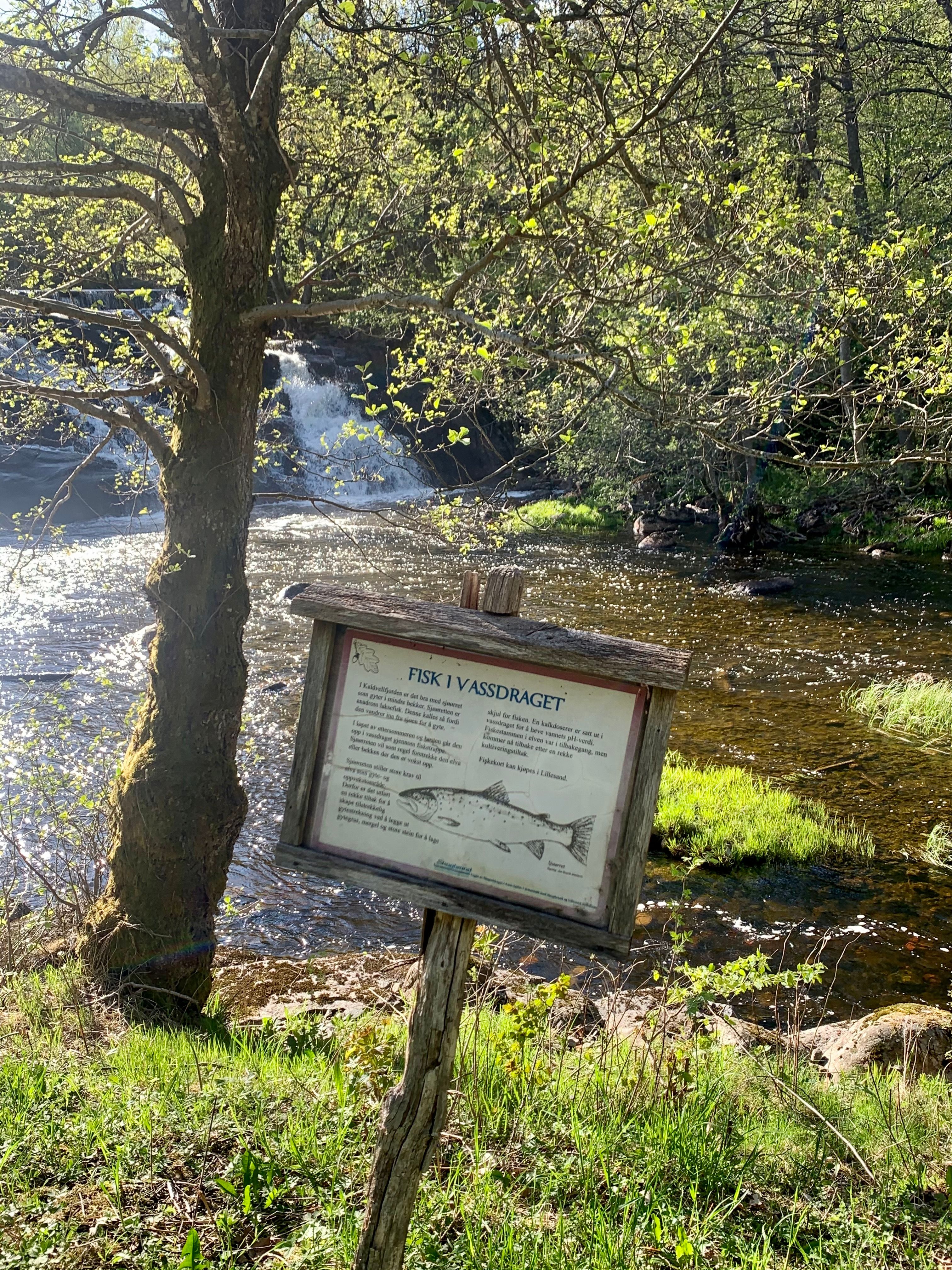 Kaldvell rekreasjonsområde