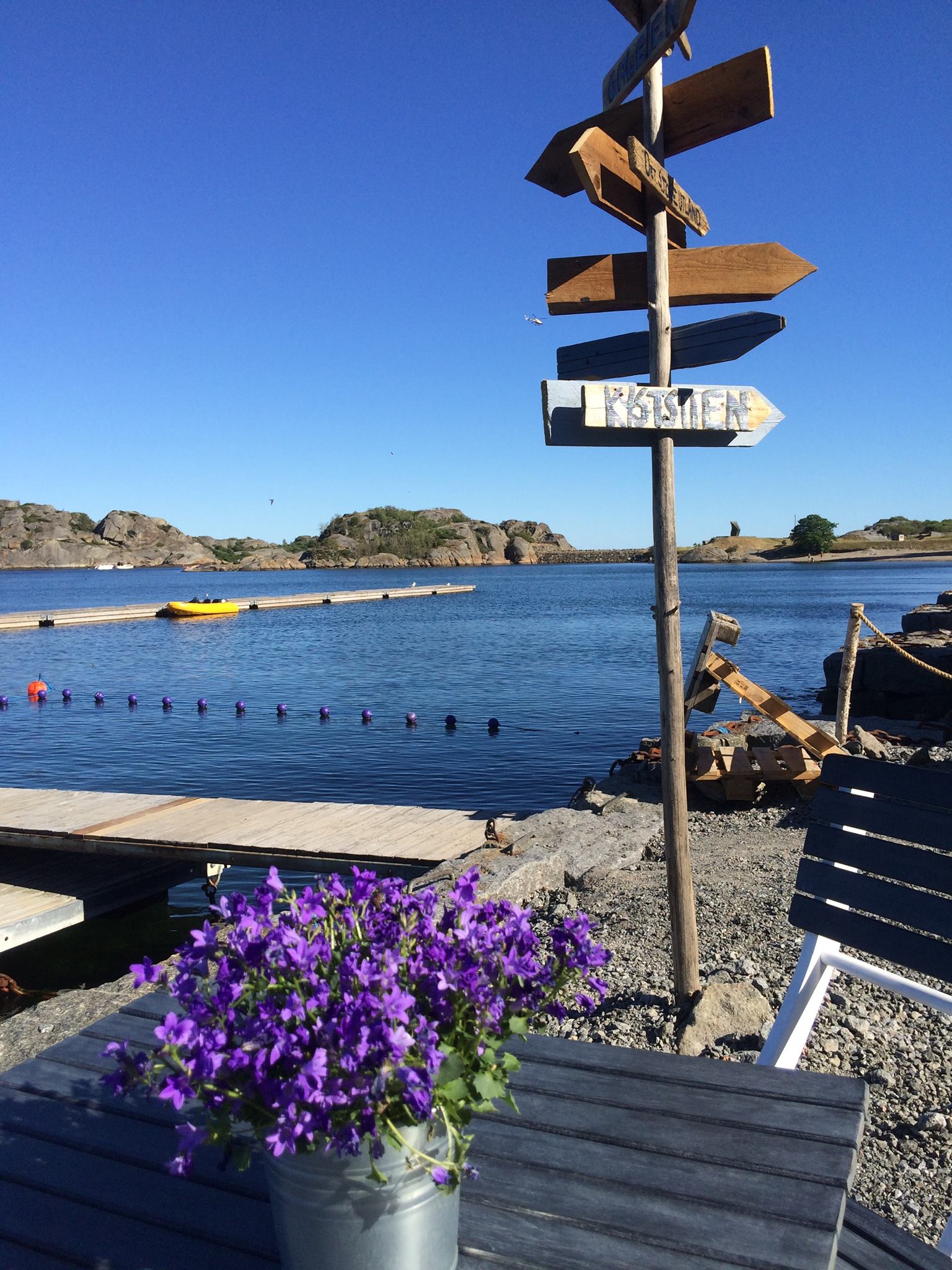 Galeien