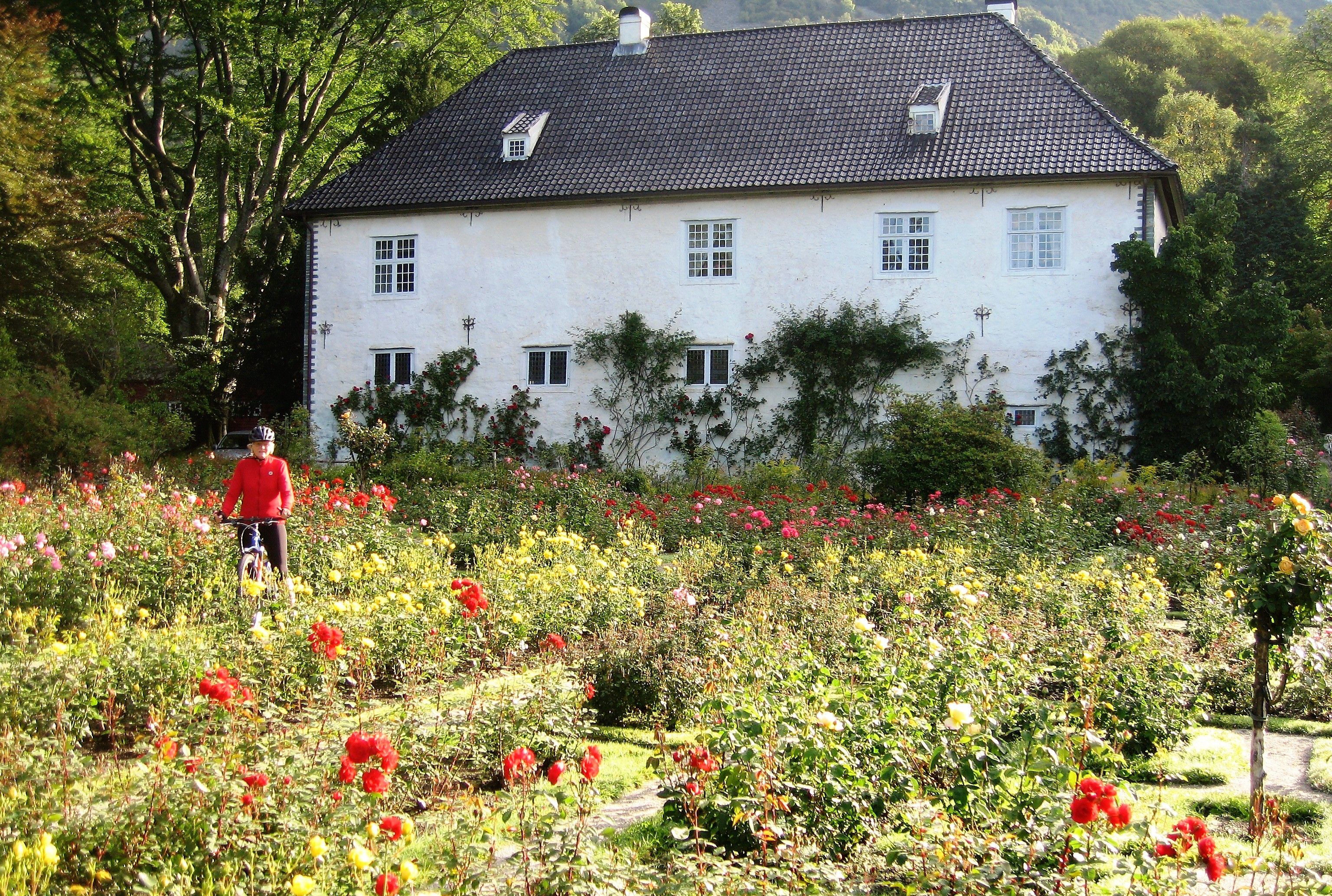 Rosendal Manor House and Gardens