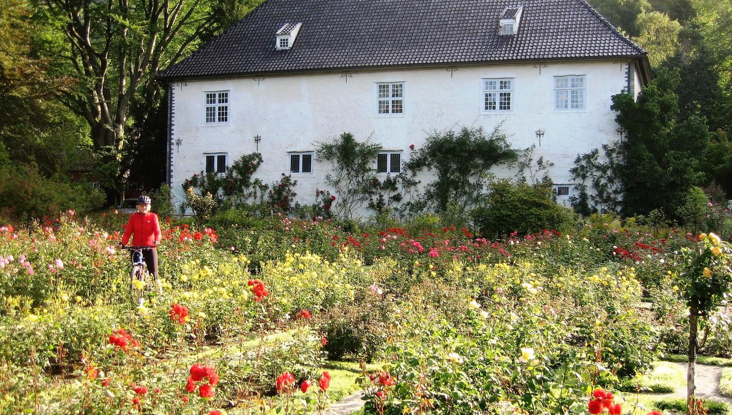 Rosendal Manor House and Gardens
