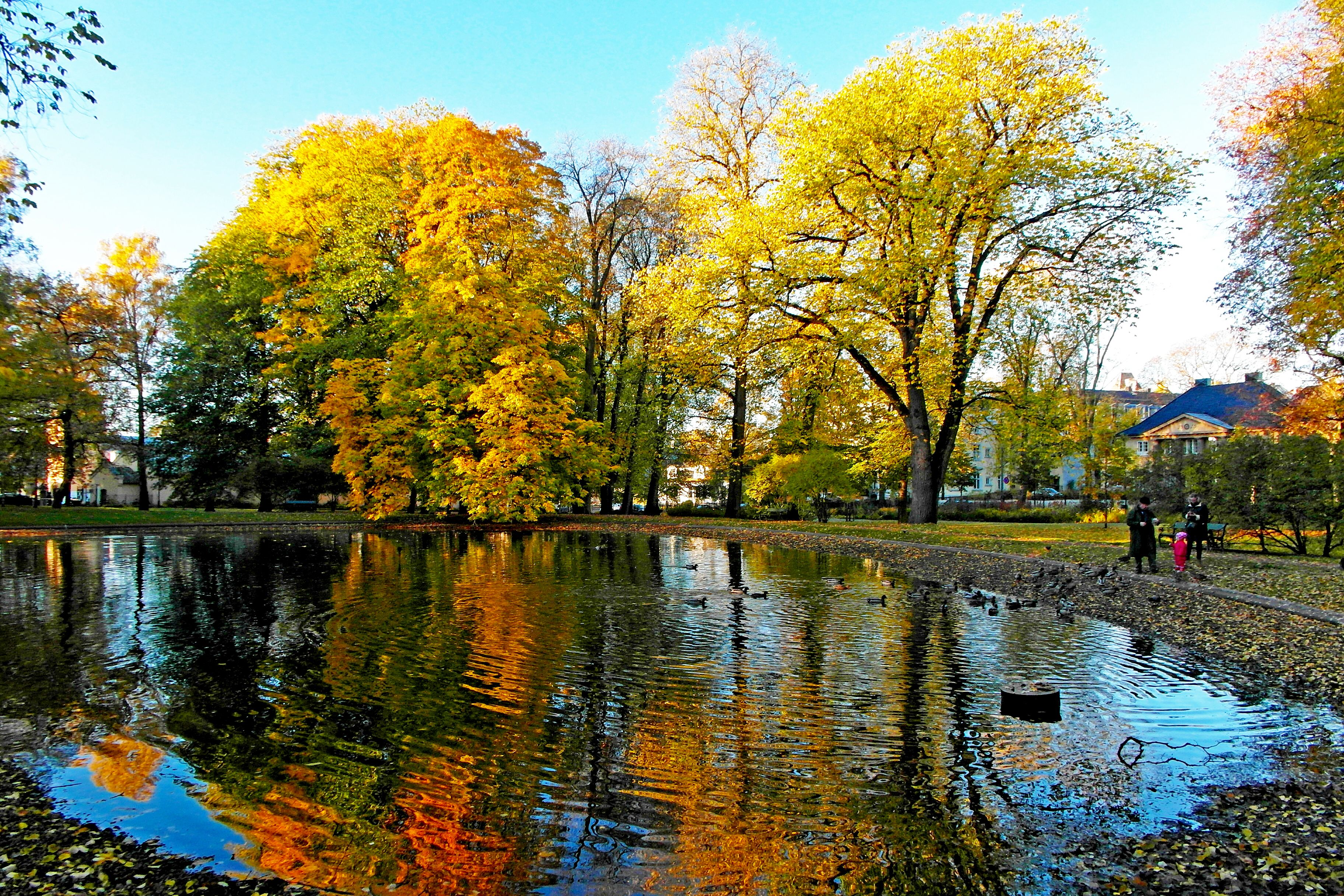 pond in the Queen's Park