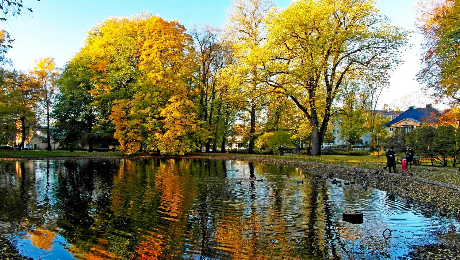 pond in the Queen's Park