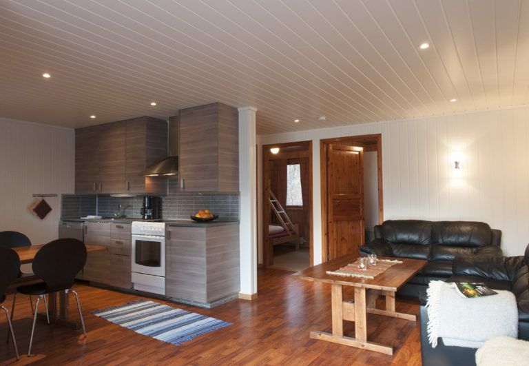 Kitchen and living room