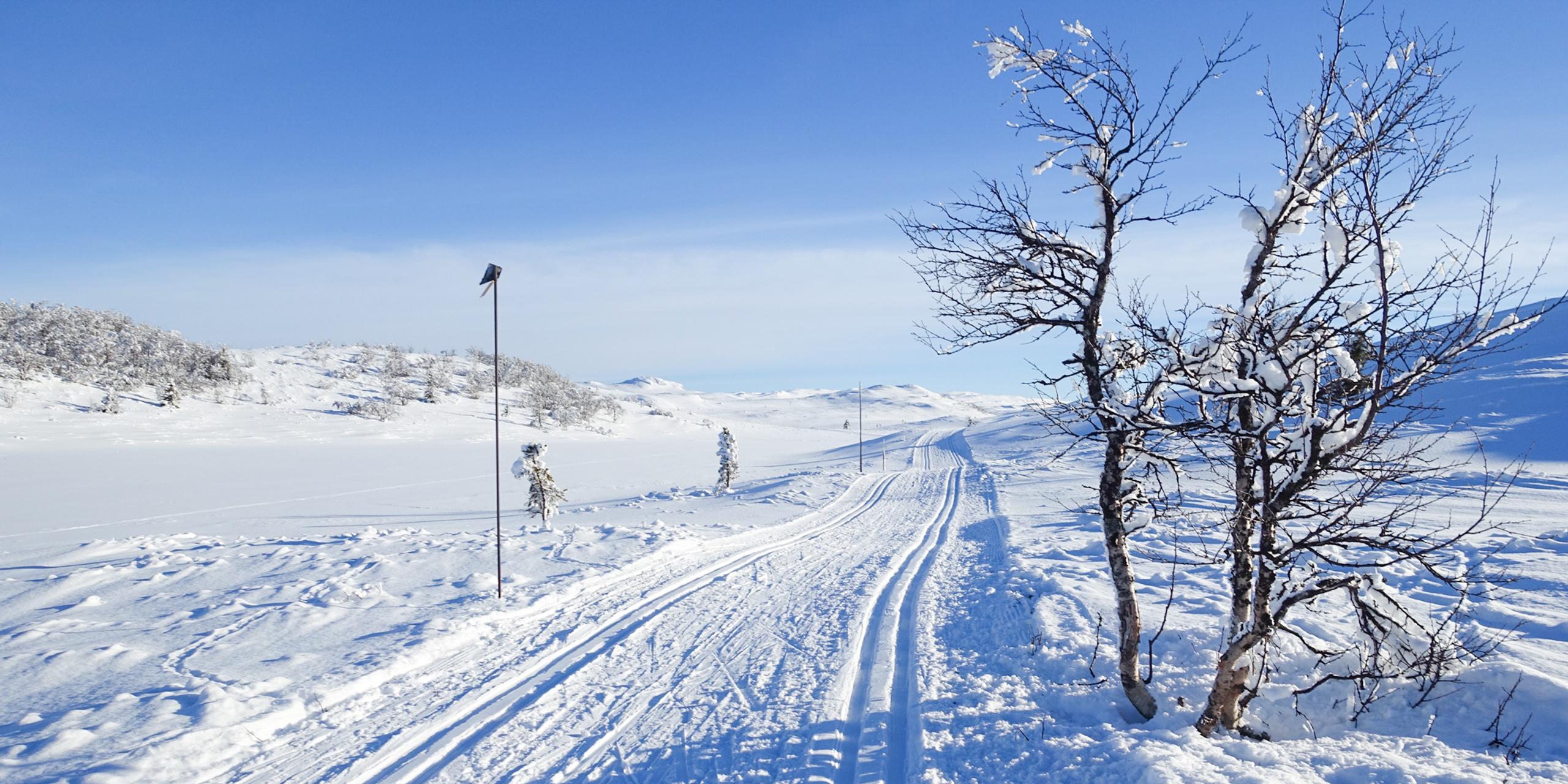 Gulrunden-4