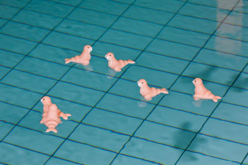 svømmende gummiender i sel-form