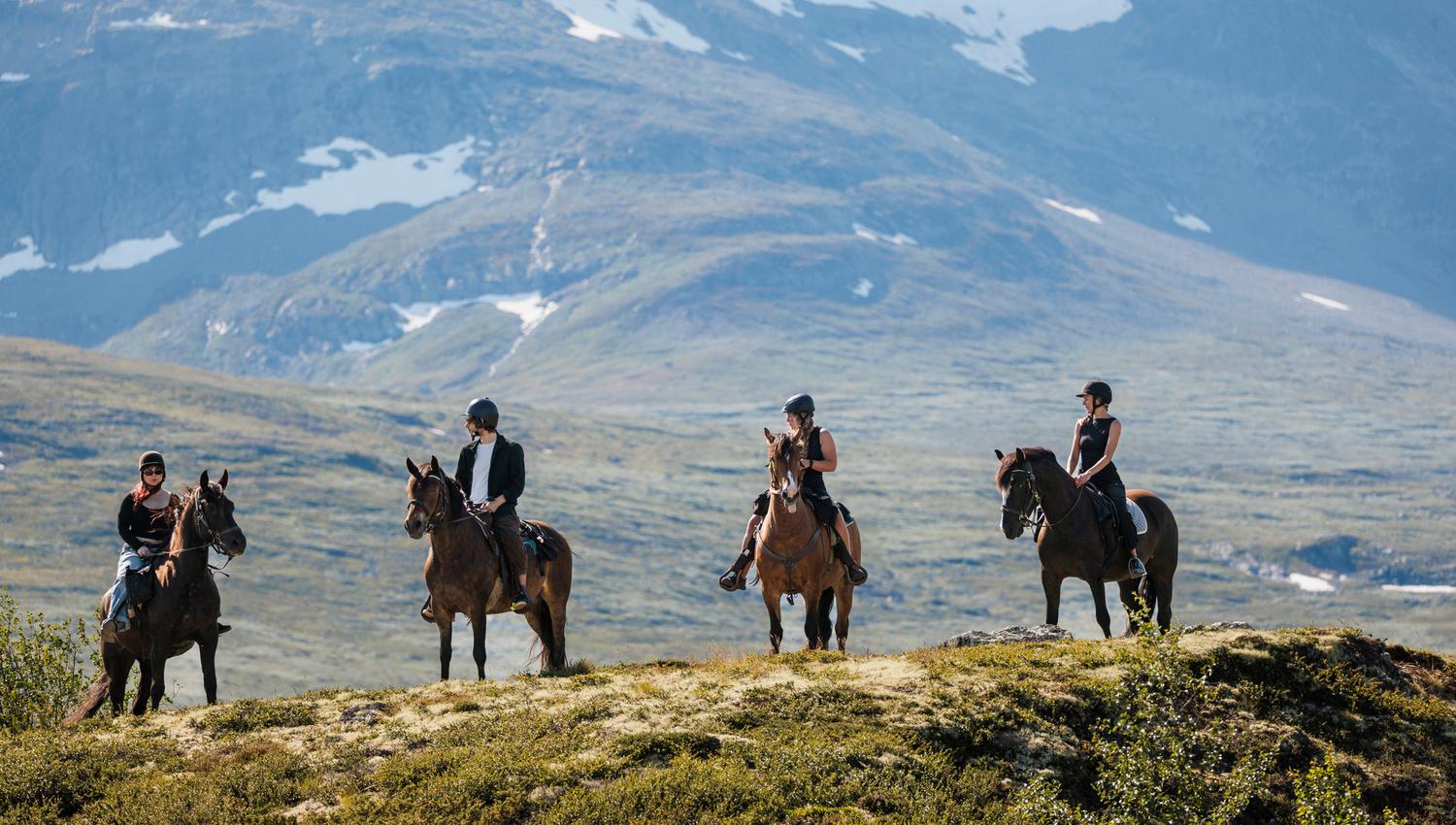On a horseback riding tour into the mountains, surrounded by green landscapes with patches of snow still remaining.