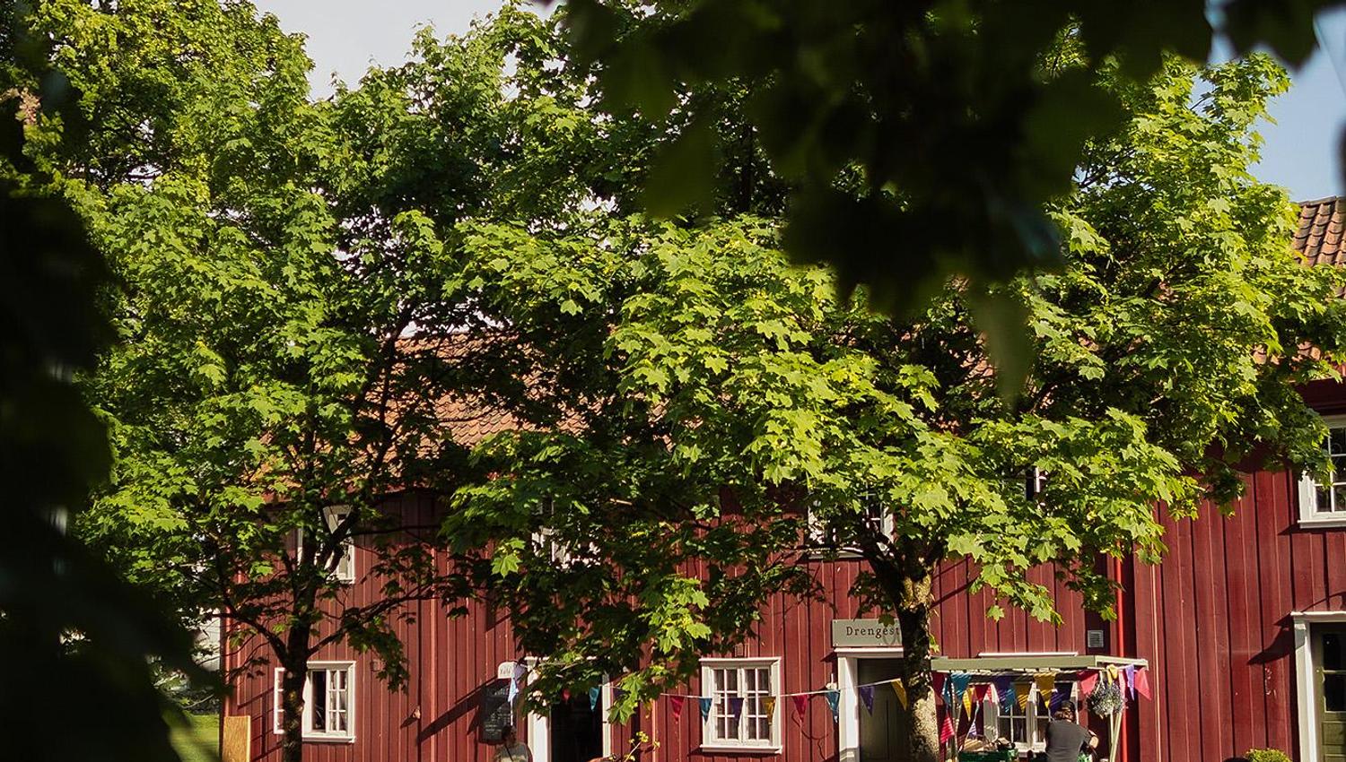 Norvald kafe og vinhus på Gjøvik Gård - kafebord ute på tunet
