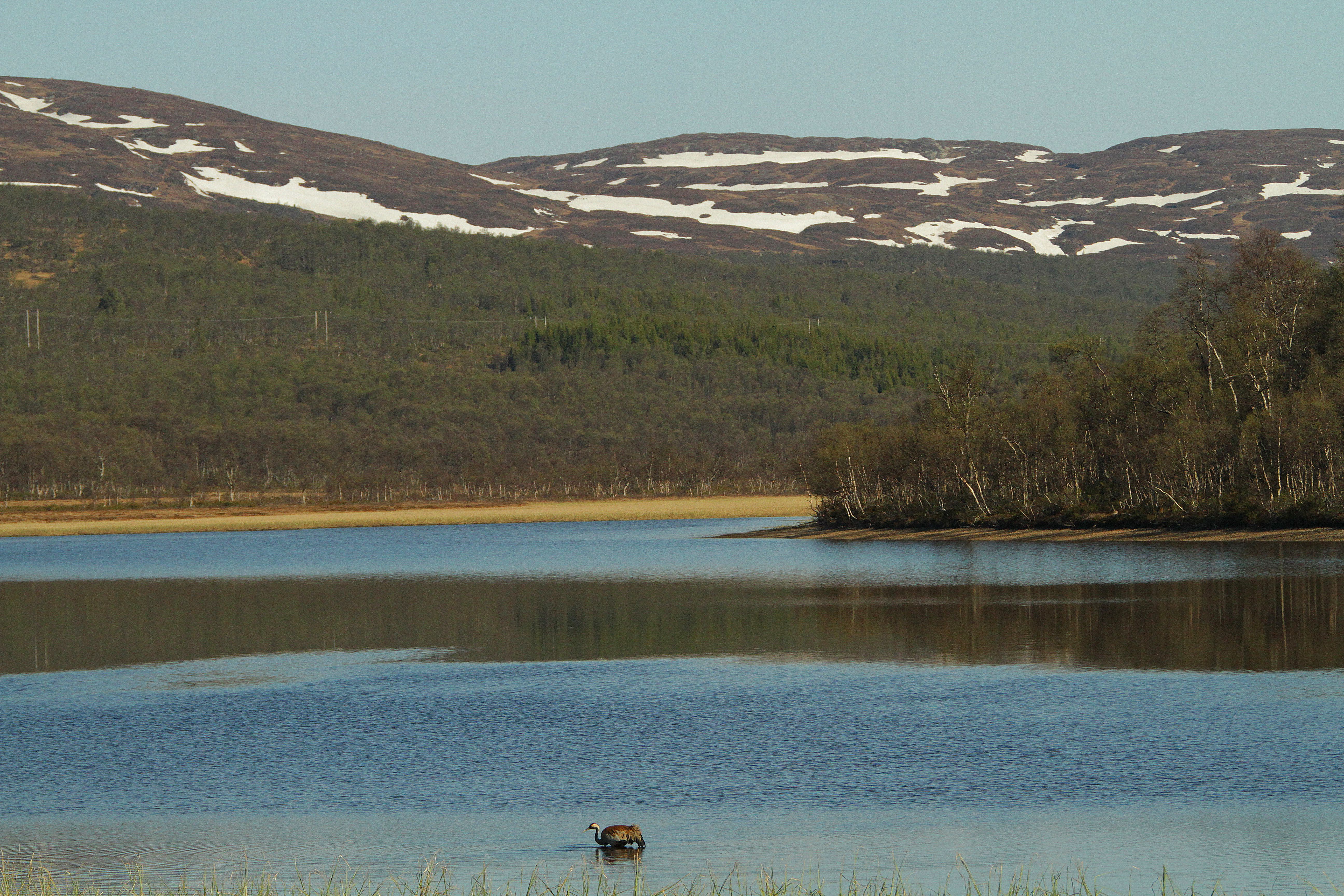 Molinga Naturreservat