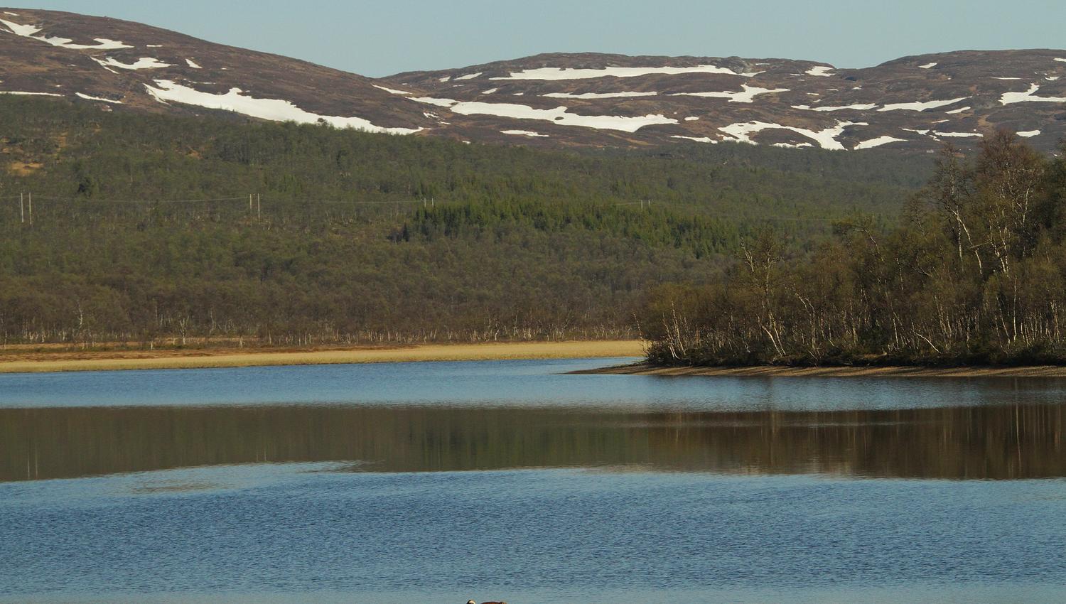 Molinga Naturreservat