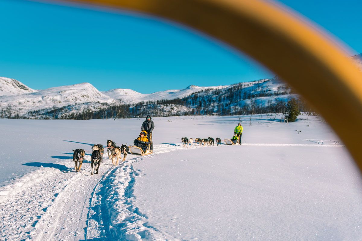 på tur med Haukeli Husky