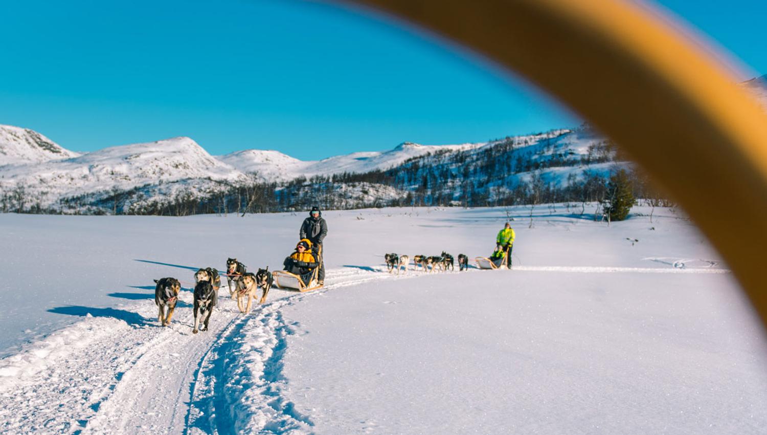 på tur med Haukeli Husky