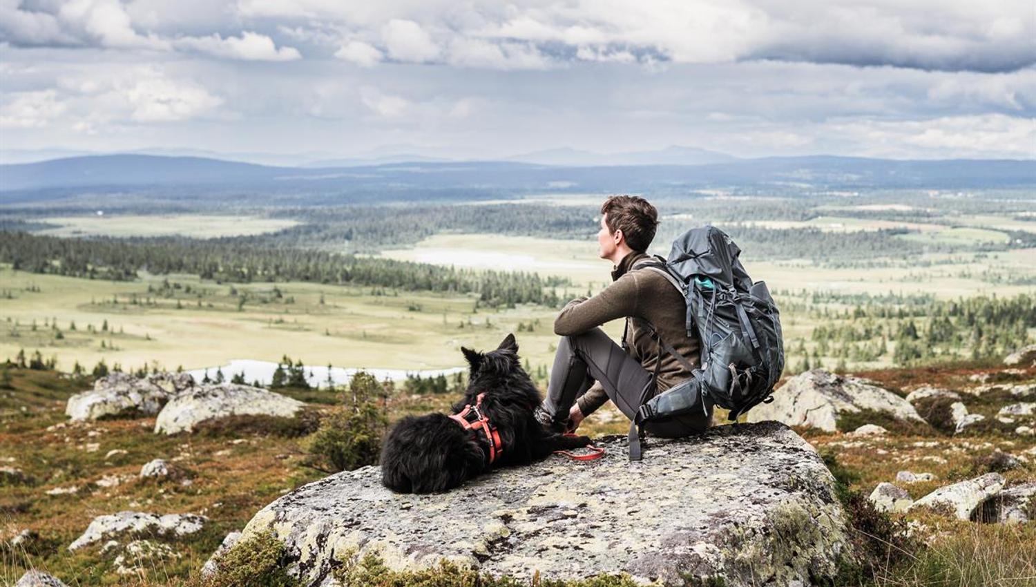 Person sitting on a rock overlooking a mountain landscape