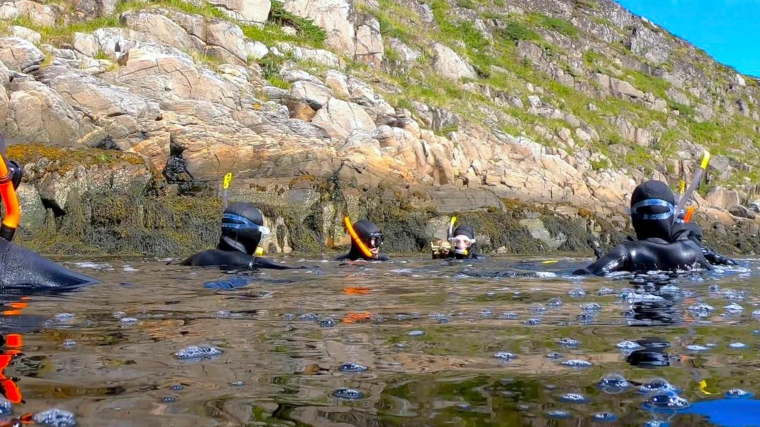 Arctic Freediving and kayaking in Træna