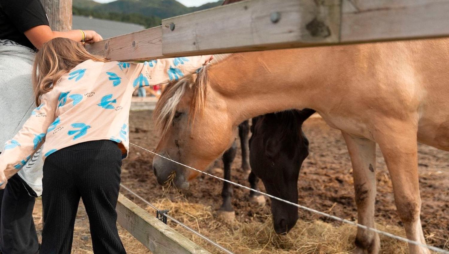 A child leans over a wooden fence to pet a tan horse while another horse eats hay in a muddy pen..