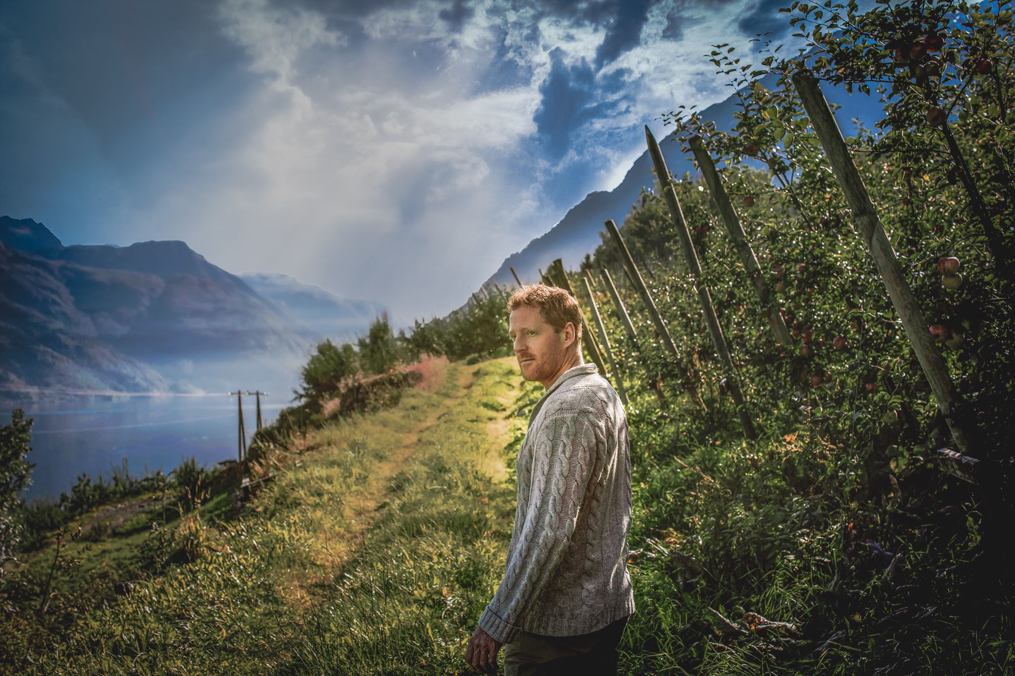 Man walking through the orchards of Hardangerfjord with the fjord in the background.
