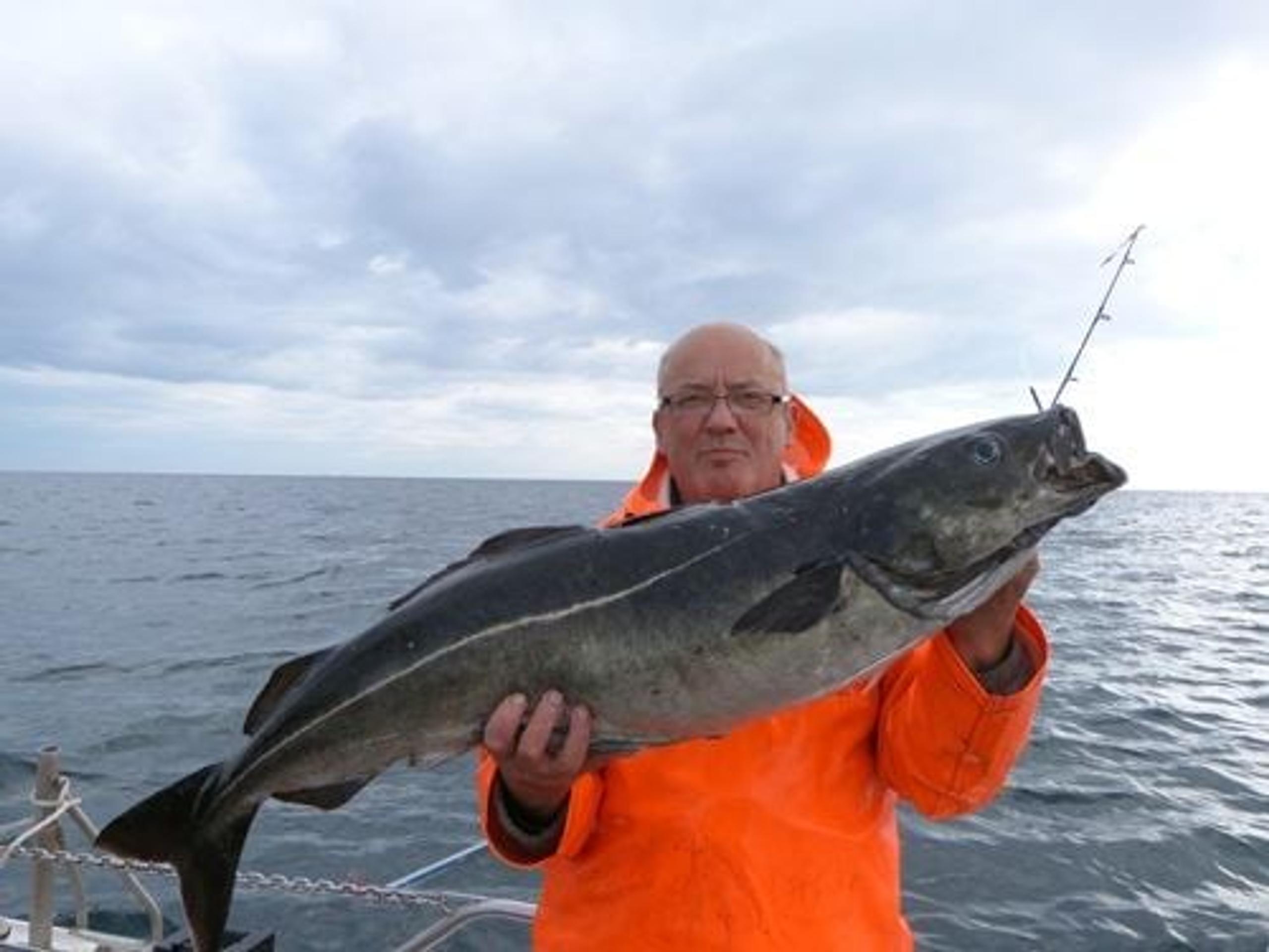 Fishing trip in Svolvær - No Problem Sportfishing