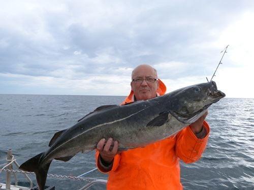Fishing trip in Svolvær - No Problem Sportfishing