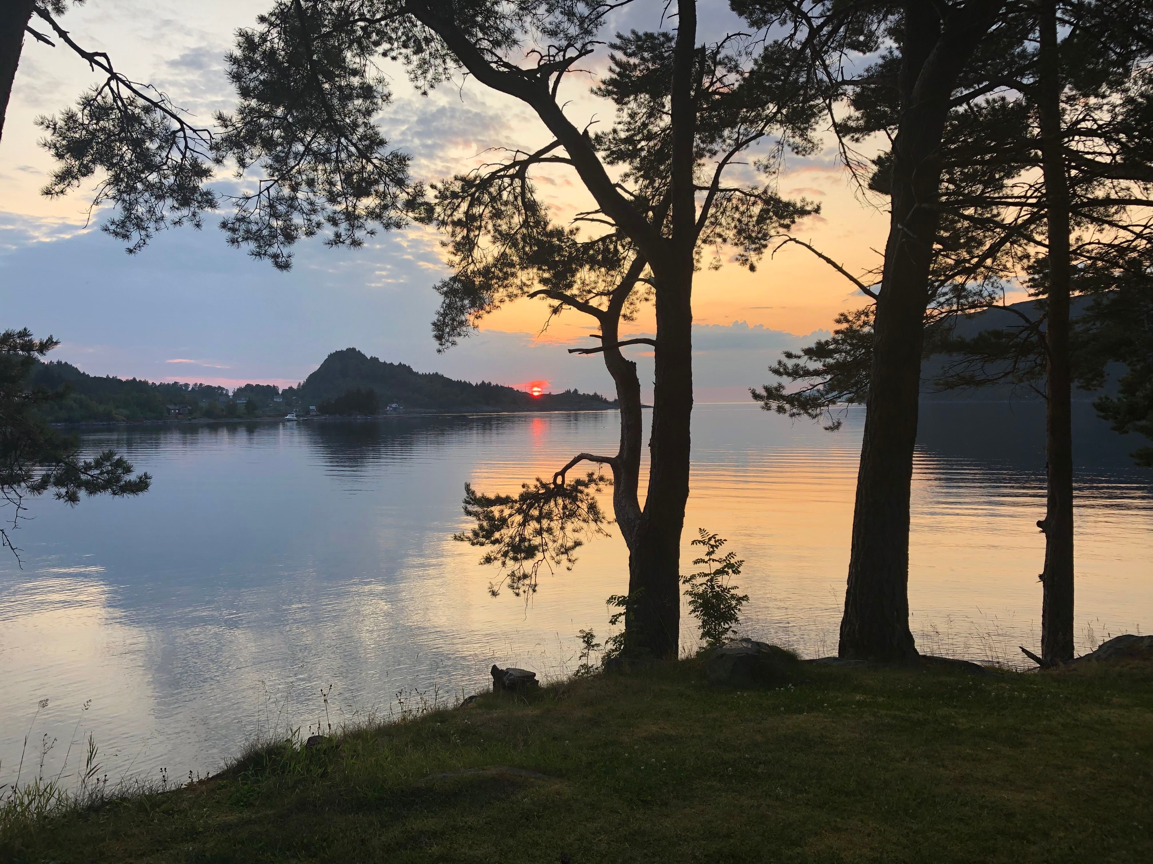 Pine trees frame a calm lakeshore at sunset, with an orange sky and the sun near the horizon reflecting on water..