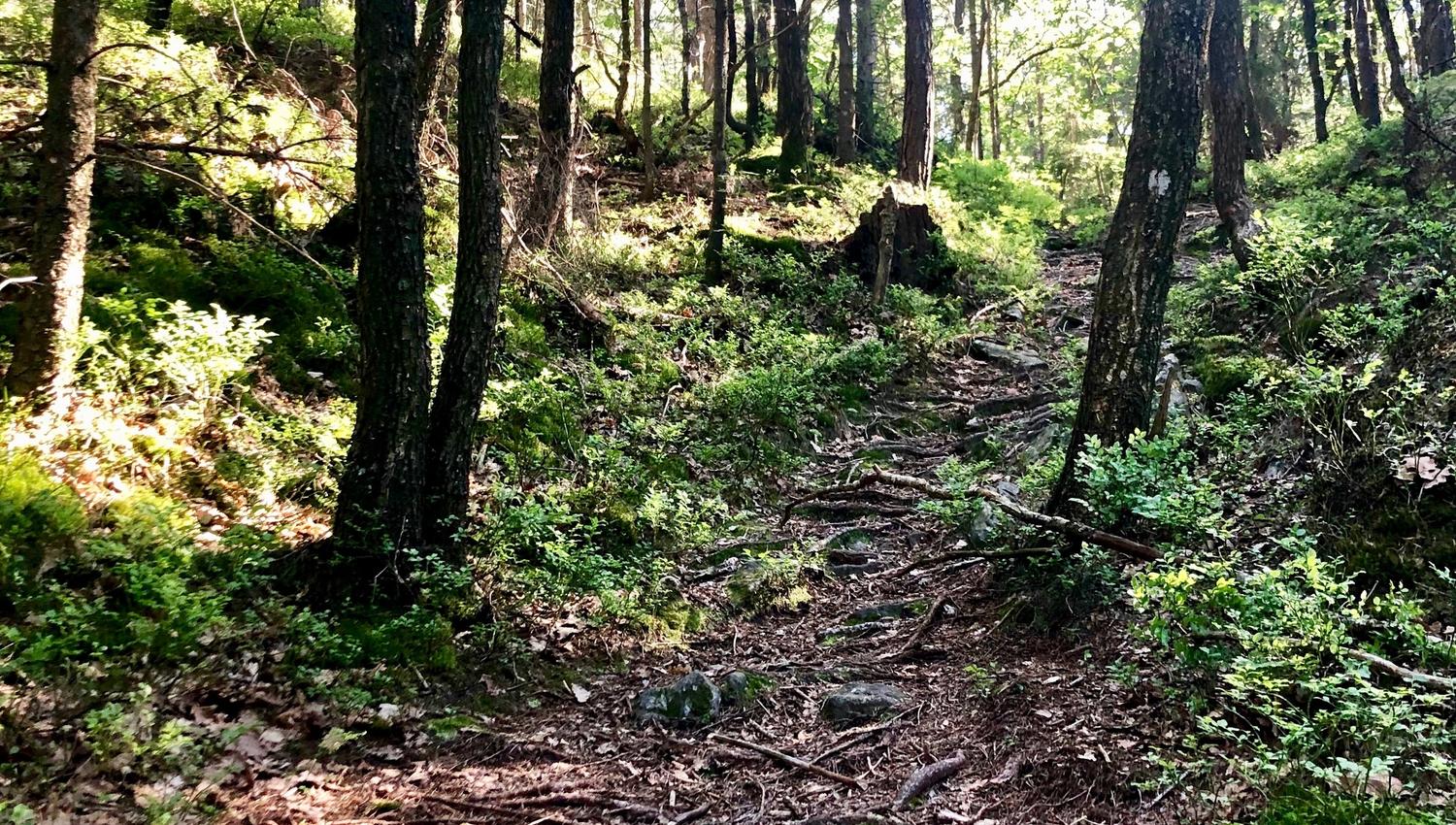 Kaldvell rekreasjonsområde Lillesand