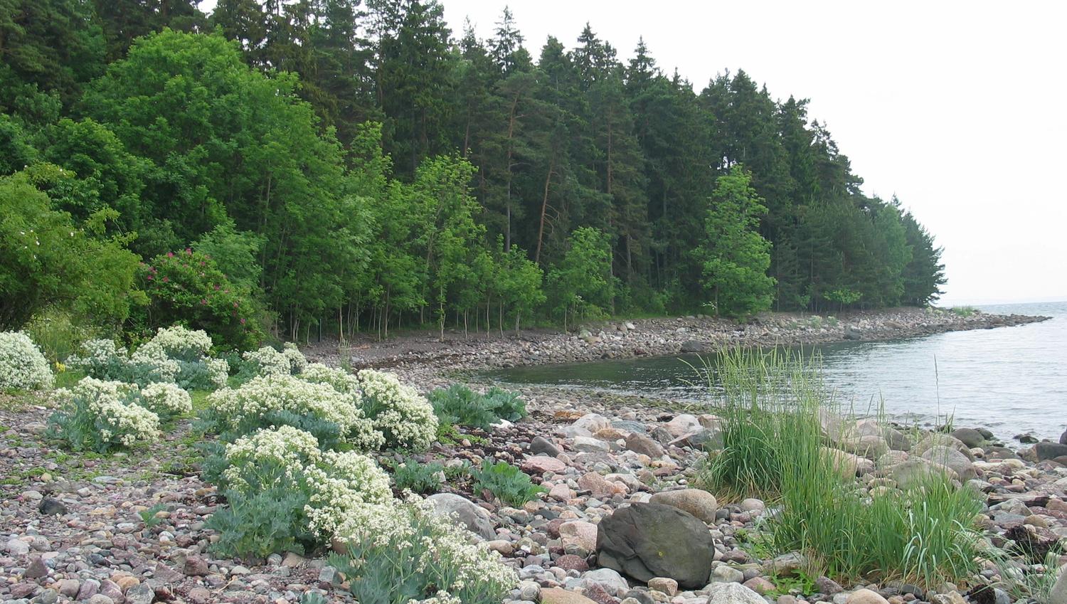 Strand Søndre Jeløy