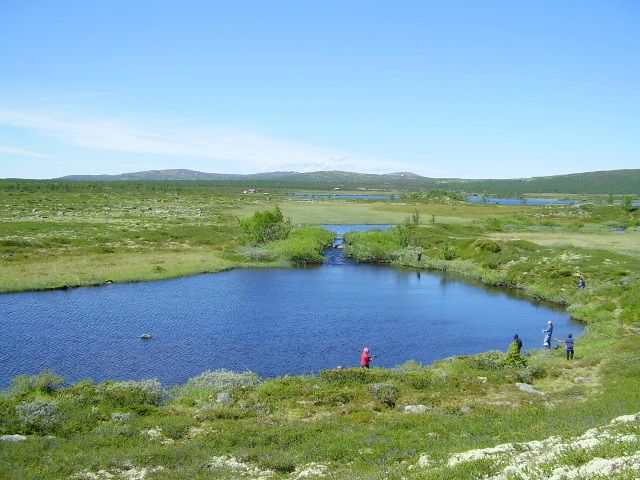 Øvre- Åstelva