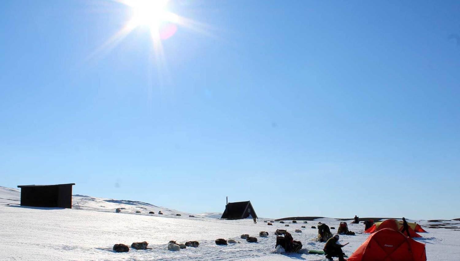 winter landscape, sunshine and tents in the distance