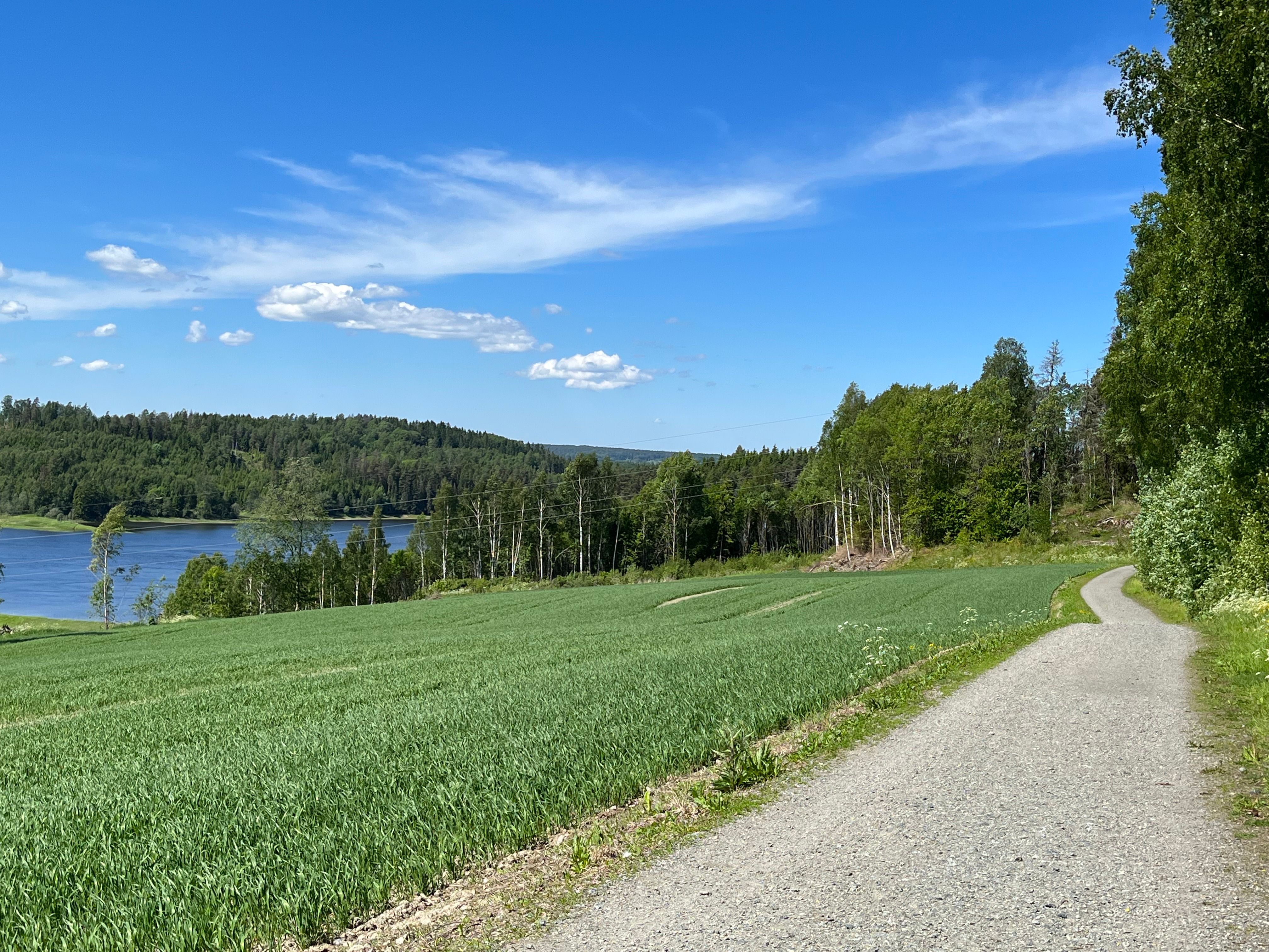 Solbergfosslinna