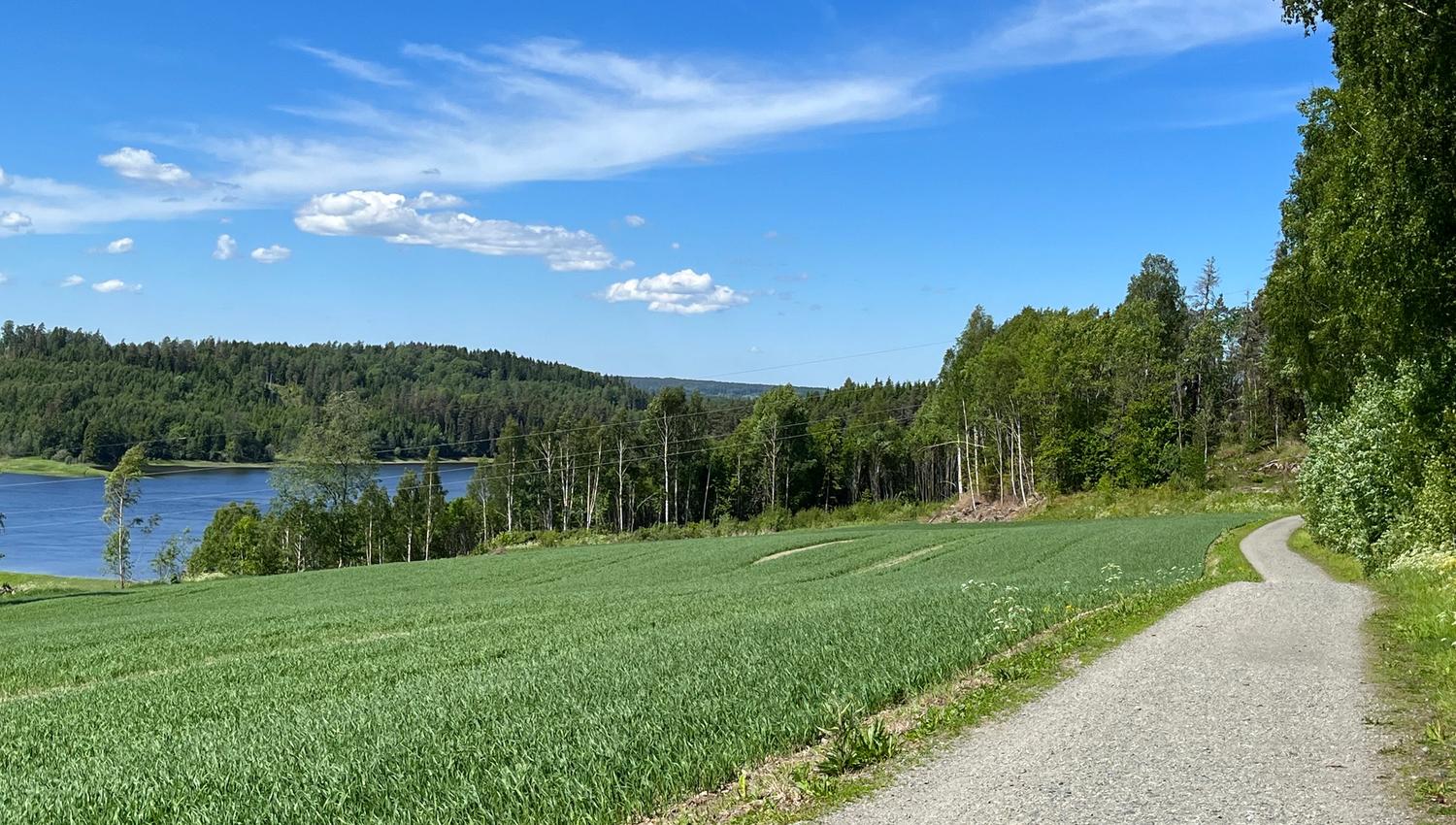 Solbergfosslinna