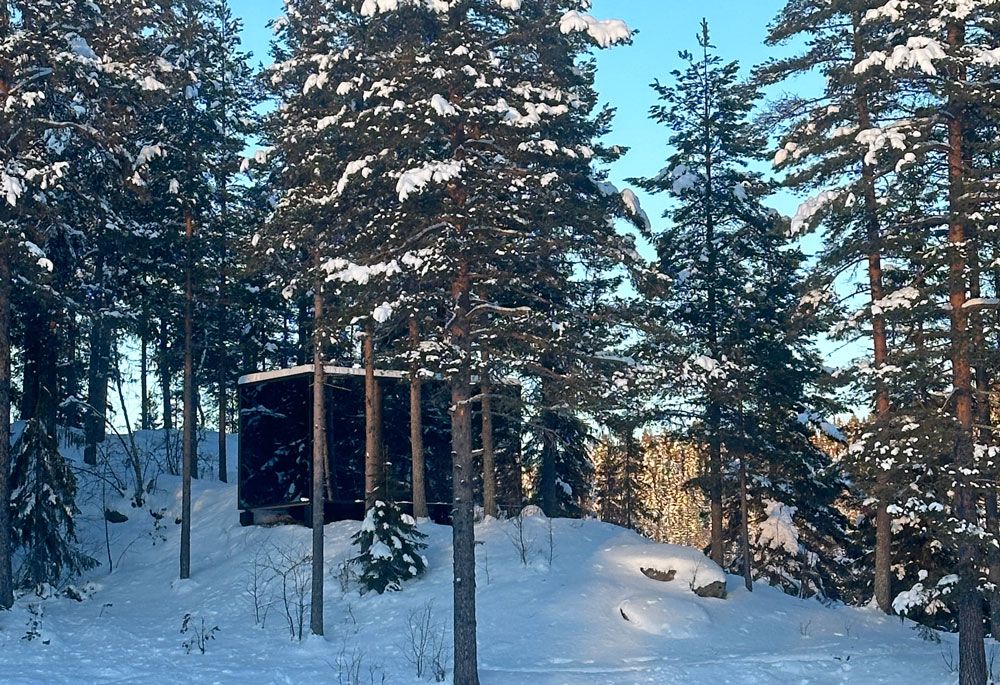 cabin in a winter forest
