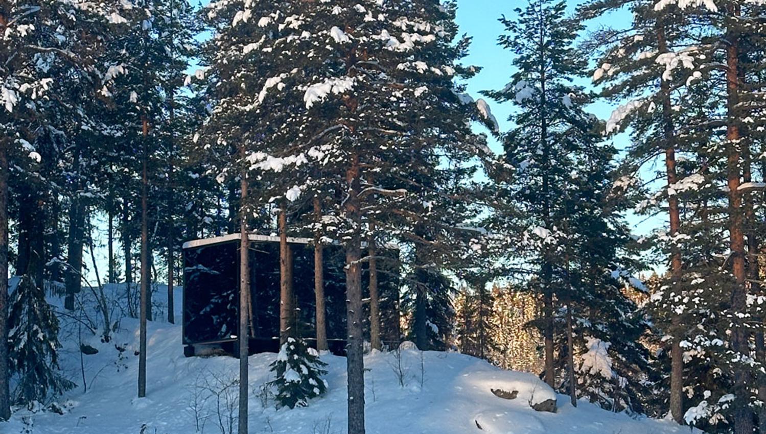 cabin in a winter forest