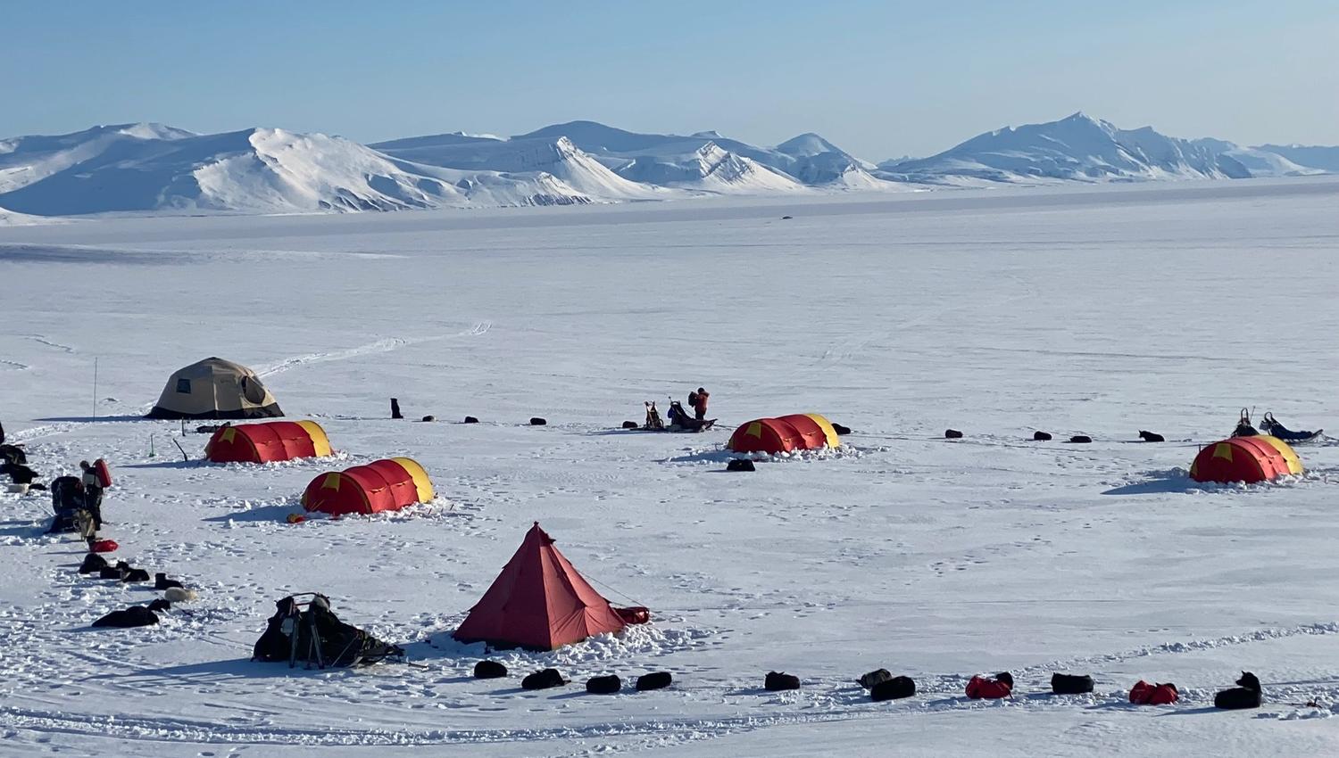 En teltleir med sledehunder, parkerte hundesleder og personer i et stort åpent snødekt landskap med fjell fjernt i bakgrunnen