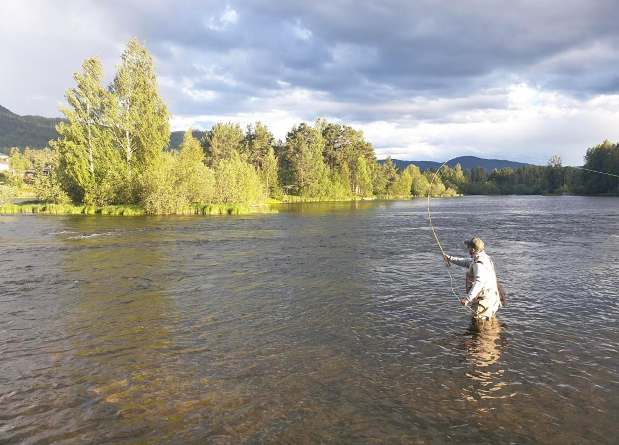 Laksefiske