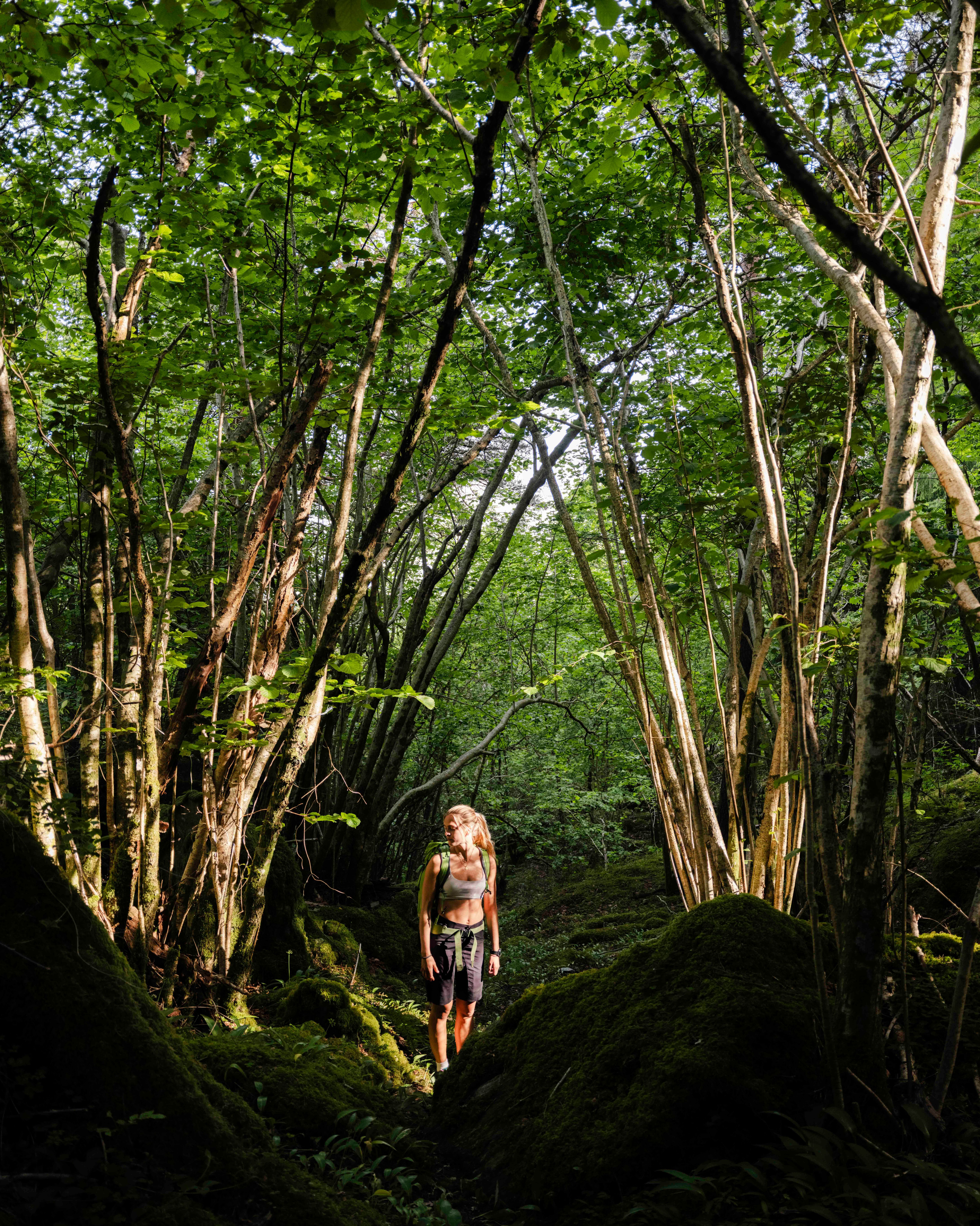 Woman hiking through lush forest landscapes near Stigen Fjordlodge in Hardanger.