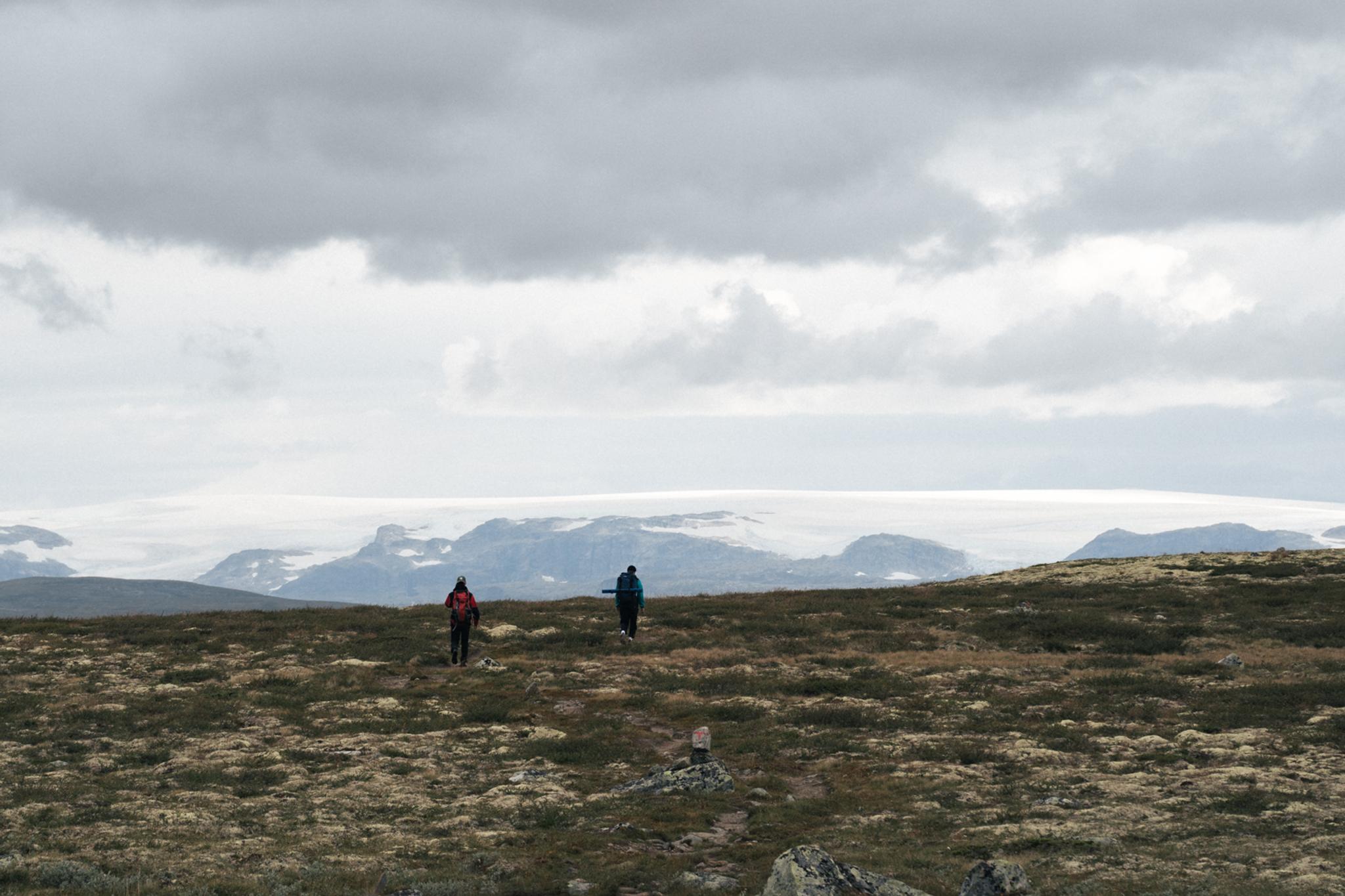 Two hikers walking in the Hardangervidda, with a view of the Hardangerjøkulen glacier from a distance.