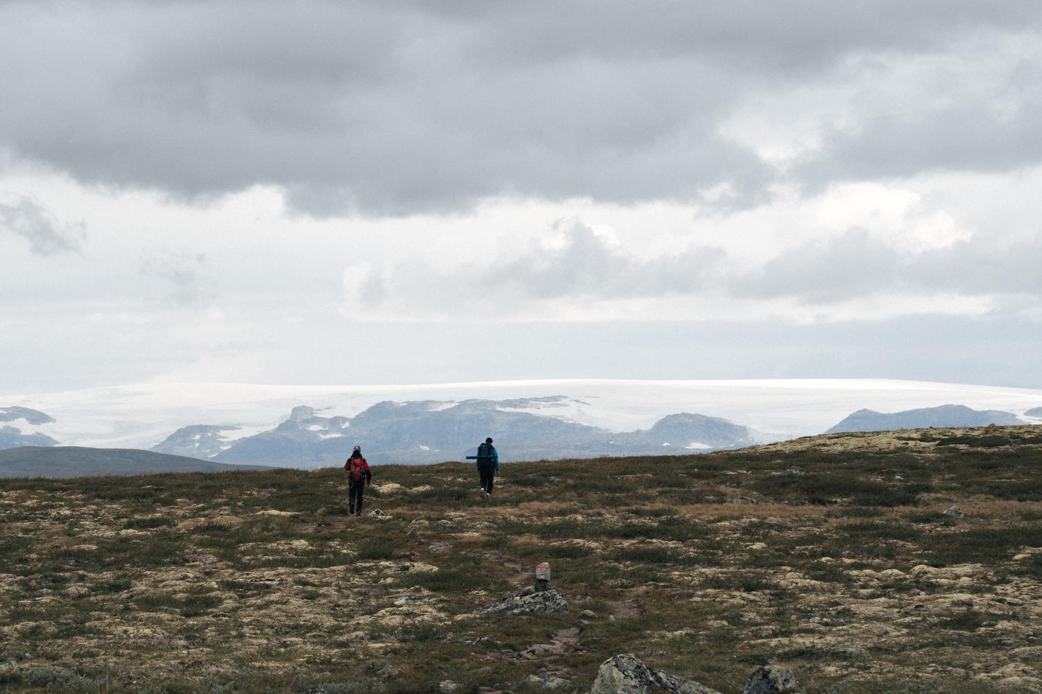 Two hikers walking in the Hardangervidda, with a view of the Hardangerjøkulen glacier from a distance.