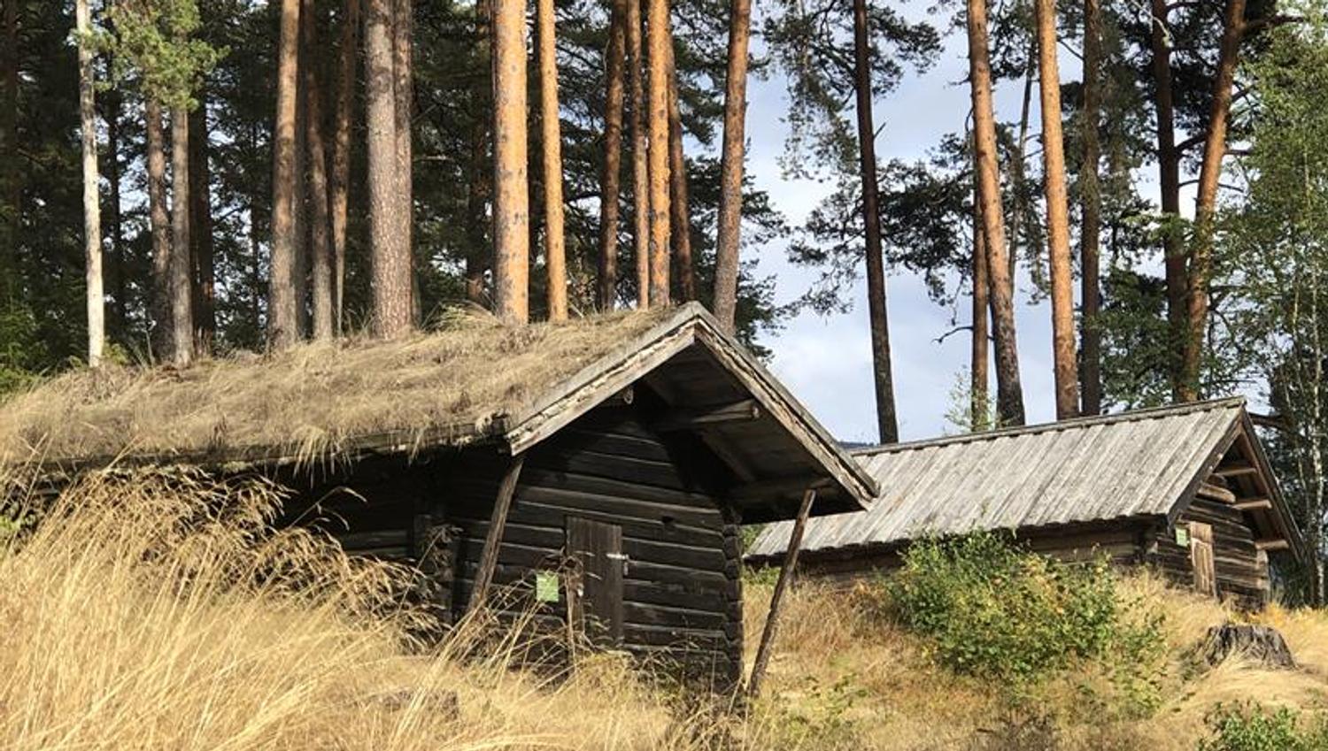 Kviteseid Bygdetun